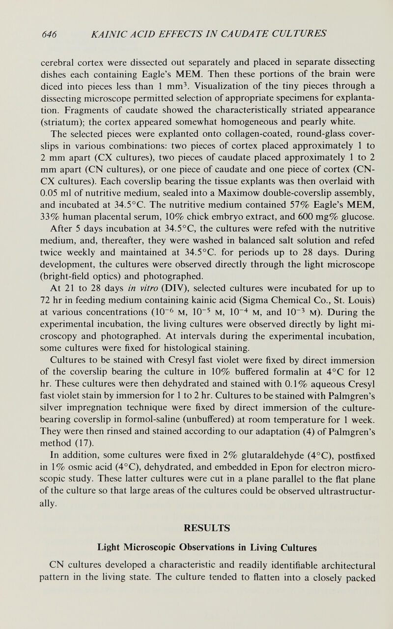 646 KAINIC ACID EFFECTS IN CA UDA TE CULTURES cerebral cortex were dissected out separately and placed in separate dissecting dishes each containing Eagle's MEM. Then these portions of the brain were diced into pieces less than 1 mm^. Visualization of the tiny pieces through a dissecting microscope permitted selection of appropriate specimens for explanta- tion. Fragments of caudate showed the characteristically striated appearance (striatum); the cortex appeared somewhat homogeneous and pearly white. The selected pieces were explanted onto collagen-coated, round-glass cover- slips in various combinations: two pieces of cortex placed approximately 1 to 2 mm apart (CX cultures), two pieces of caudate placed approximately 1 to 2 mm apart (CN cultures), or one piece of caudate and one piece of cortex (CN- CX cultures). Each coverslip bearing the tissue expiants was then overlaid with 0.05 ml of nutritive medium, sealed into a Maximow double-coverslip assembly, and incubated at 34.5°C. The nutritive medium contained 57% Eagle's MEM, 33% human placental serum, 10% chick embryo extract, and 600 mg% glucose. After 5 days incubation at 34.5°C, the cultures were refed with the nutritive medium, and, thereafter, they were washed in balanced salt solution and refed twice weekly and maintained at 34.5°C. for periods up to 28 days. During development, the cultures were observed directly through the light microscope (bright-field optics) and photographed. At 21 to 28 days in vitro (DIV), selected cultures were incubated for up to 72 hr in feeding medium containing kainic acid (Sigma Chemical Co., St. Louis) at various concentrations (10~^ м, 10^ M, 10^ м, and 10' м). During the experimental incubation, the living cultures were observed directly by light mi¬ croscopy and photographed. At intervals during the experimental incubation, some cultures were fixed for histological staining. Cultures to be stained with Cresyl fast violet were fixed by direct immersion of the coverslip bearing the culture in 10% buffered formalin at 4°C for 12 hr. These cultures were then dehydrated and stained with 0.1 % aqueous Cresyl fast violet stain by immersion for 1 to 2 hr. Cultures to be stained with Palmgren's silver impregnation technique were fixed by direct immersion of the culture- bearing coverslip in formol-saline (unbuffered) at room temperature for 1 week. They were then rinsed and stained according to our adaptation (4) of Palmgren's method (17). In addition, some cultures were fixed in 2% glutaraldehyde (4°C), postfixed in 1% osmic acid (4°C), dehydrated, and embedded in Epon for electron micro¬ scopic study. These latter cultures were cut in a plane parallel to the flat plane of the culture so that large areas of the cultures could be observed ultrastructur- ally. RESULTS Light Microscopic Observations in Living Cultures CN cultures developed a characteristic and readily identifiable architectural pattern in the living state. The culture tended to flatten into a closely packed
