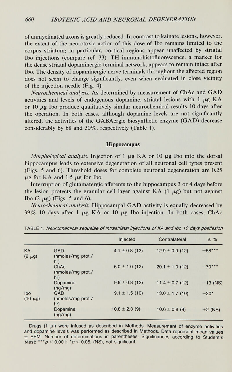 660 IBOTENIC A CID AND NEURONAL DEGENERA TION of unmyelinated axons is greatly reduced. In contrast to kainate lesions, however, the extent of the neurotoxic action of this dose of Ibo remains limited to the corpus striatum; in particular, cortical regions appear unaffected by striatal Ibo injections (compare ref. 33). TH immunohistofluorescence, a marker for the dense striatal dopaminergic terminal network, appears to remain intact after Ibo. The density of dopaminergic nerve terminals throughout the affected region does not seem to change significantly, even when evaluated in close vicinity of the injection needle (Fig. 4). Neurochemical analysis. As determined by measurement of ChAc and GAD activities and levels of endogenous dopamine, striatal lesions with 1 /xg KA or 10 jLtg Ibo produce qualitatively similar neurochemical results 10 days after the operation. In both cases, although dopamine levels are not significantly altered, the activities of the GABAergic biosynthetic enzyme (GAD) decrease considerably by 68 and 30%, respectively (Table 1). Hippocampus Morphological analysis. Injection of 1 ju,g KA or 10 jug Ibo into the dorsal hippocampus leads to extensive degeneration of all neuronal cell types present (Figs. 5 and 6). Threshold doses for complete neuronal degeneration are 0.25 jug for К A and 1.5 ju,g for Ibo. Interruption of glutamatergic afferents to the hippocampus 3 or 4 days before the lesion protects the granular cell layer against К A (1 ju-g) but not against Ibo (2 ju,g) (Figs. 5 and 6). Neurochemical analysis. Hippocampal GAD activity is equally decreased by 39% 10 days after 1 jug KA or 10 jag Ibo injection. In both cases, ChAc TABLE 1. Neurochemical sequelae of intrastriatal injections of KA and Ibo 10 days postlesion Drugs (1 fi,l) were infused as described in Methods. Measurement of enzyme activities and dopamine levels was performed as described in Methods. Data represent mean values ± SEM. Number of determinations in parentheses. Significances according to Student's Atest: *'*p< 0.001; *p< 0.05. (NS), not significant.