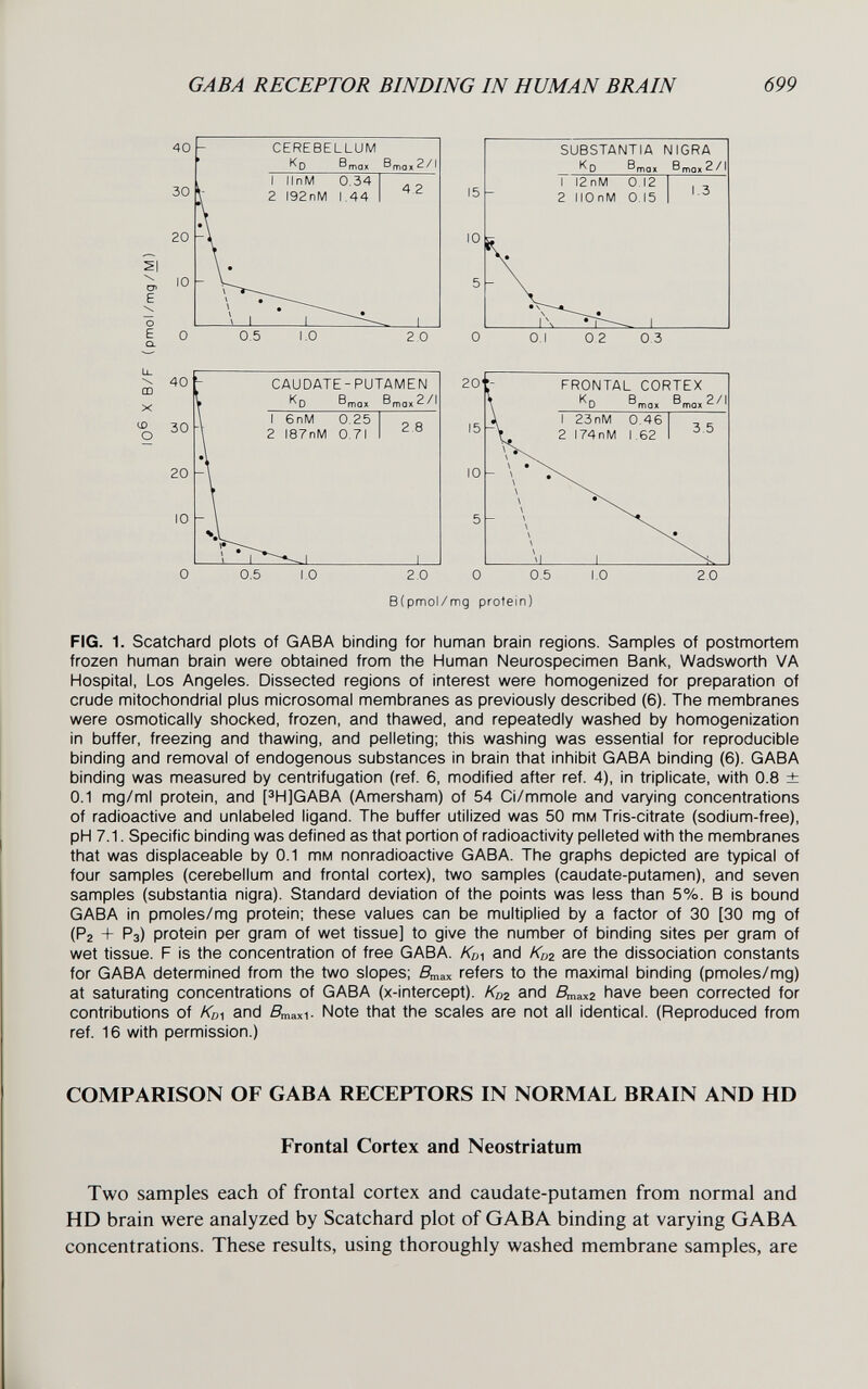 GABA RECEPTOR BINDING IN HUMAN BRAIN 699 0 0.5 1.0 2.0 0 0.5 1.0 2,0 B(pmol/mg protein) FIG. 1. Scatchard plots of GABA binding for human brain regions. Sarnples of postmortem frozen human brain were obtained from the Human Neurospecimen Bank, Wadsworth VA Hospital, Los Angeles. Dissected regions of interest were homogenized for preparation of crude mitochondrial plus microsomal membranes as previously described (6). The membranes were osmotically shocked, frozen, and thawed, and repeatedly washed by homogenization in buffer, freezing and thawing, and pelleting; this washing was essential for reproducible binding and removal of endogenous substances in brain that inhibit GABA binding (6). GABA binding was measured by centrifugation (ref. 6, modified after ref. 4), in triplicate, with 0.8 ± 0.1 mg/ml protein, and PH]GABA (Amersham) of 54 Ci/mmole and varying concentrations of radioactive and unlabeled ligand. The buffer utilized was 50 тм Tris-citrate (sodium-free), pH 7.1. Specific binding was defined as that portion of radioactivity pelleted with the membranes that was displaceable by 0.1 тм nonradioactive GABA. The graphs depicted are typical of four samples (cerebellum and frontal cortex), two samples (caudate-putamen), and seven samples (substantia nigra). Standard deviation of the points was less than 5%. В is bound GABA in pmoles/mg protein; these values can be multiplied by a factor of 30 [30 mg of (Рг + Рз) protein per gram of wet tissue] to give the number of binding sites per gram of wet tissue. F is the concentration of free GABA. /Cci and Kd2 are the dissociation constants for GABA determined from the two slopes; Дпах refers to the maximal binding (pmoles/mg) at saturating concentrations of GABA (x-intercept). Kd2 and Дпахг have been corrected for contributions of Kdi and flmaxi- Note that the scales are not all identical. (Reproduced from ref. 16 with permission.) COMPARISON OF GABA RECEPTORS IN NORMAL BRAIN AND HD Frontal Cortex and Neostriatum Two samples each of frontal cortex and caudate-putamen from normal and HD brain were analyzed by Scatchard plot of GABA binding at varying GABA concentrations. These results, using thoroughly washed membrane samples, are