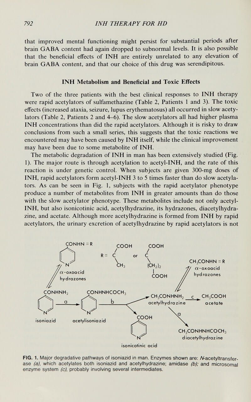 792 INH THERAPY FOR HD that improved mental functioning might persist for substantial periods after brain GABA content had again dropped to subnormal levels. It is also possible that the beneficial effects of INH are entirely unrelated to any elevation of brain GABA content, and that our choice of this drug was serendipitous. Two of the three patients with the best clinical responses to INH therapy were rapid acetylators of sulfamethazine (Table 2, Patients 1 and 3). The toxic effects (increased ataxia, seizure, lupus erythematosus) all occurred in slow acety¬ lators (Table 2, Patients 2 and 4-6). The slow acetylators all had higher plasma INH concentrations than did the rapid acetylators. Although it is risky to draw conclusions from such a small series, this suggests that the toxic reactions we encountered may have been caused by INH itself, while the clinical improvement may have been due to some metabolite of INH. The metabolic degradation of INH in man has been extensively studied (Fig. 1). The major route is through acetylation to acetyl-INH, and the rate of this reaction is under genetic control. When subjects are given 300-mg doses of INH, rapid acetylators form acetyl-INH 3 to 5 times faster than do slow acetyla¬ tors. As can be seen in Fig. 1, subjects with the rapid acetylator phenotype produce a number of metabolites from INH in greater amounts than do those with the slow acetylator phenotype. These metabolites include not only acetyl- INH, but also isonicotinic acid, acetylhydrazine, its hydrazones, diacetylhydra- zine, and acetate. Although more acetylhydrazine is formed from INH by rapid acetylators, the urinary excretion of acetylhydrazine by rapid acetylators is not INH Metabolism and Beneficial and Toxic Effects CONHN-R COOH COOH R= С / \ or с / CONHNH, CONHNHCOCH3 CH3CONHNH2 с CH3COOH acetylhydrazine acetate N isoniazid a N acet/lisoniazid COOH IN isonicotinic acid CH3CONHNHCOCH3 diacetylhydrazine FIG. 1. Major degradative pathways of isoniazid in man. Enzymes shown are: AAacetyltransfer- ase fa), which acetylates both isoniazid and acetylhydrazine; amidase (b); and microsomal enzyme system (c), probably involving several intermediates.