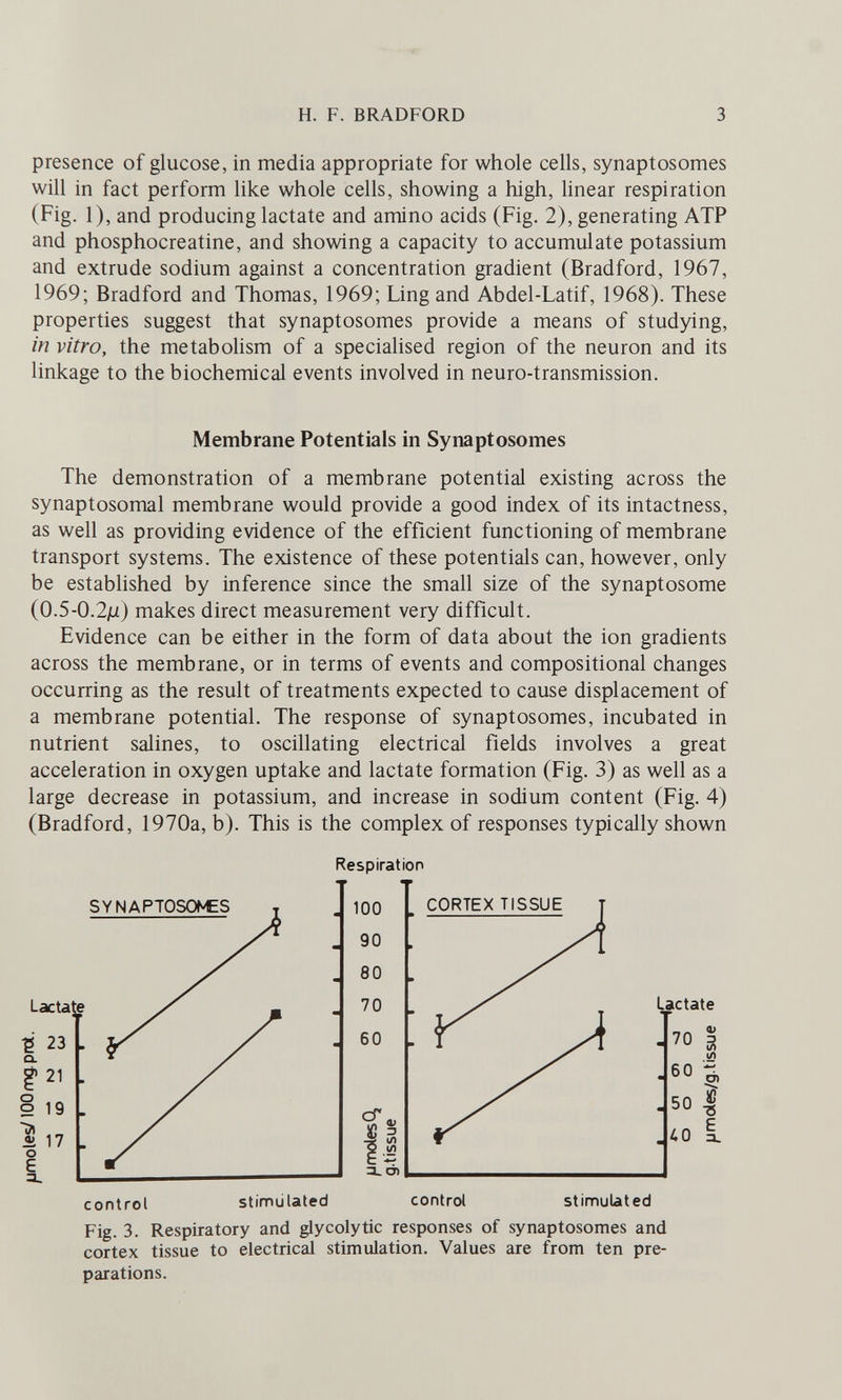 H. F. BRADFORD 3 presence of glucose, in media appropriate for whole cells, synaptosomes will in fact perform like whole cells, showing a high, linear respiration (Fig. 1), and producing lactate and amino acids (Fig. 2), generating ATP and phosphocreatine, and showing a capacity to accumulate potassium and extrude sodium against a concentration gradient (Bradford, 1967, 1969; Bradford and Thomas, 1969; Ling and Abdel-Latif, 1968). These properties suggest that synaptosomes provide a means of studying, in vitro, the metabolism of a specialised region of the neuron and its linkage to the biochemical events involved in neuro-transmission. Membrane Potentials in Synaptosomes The demonstration of a membrane potential existing across the synaptosomal membrane would provide a good index of its intactness, as well as providing evidence of the efficient functioning of membrane transport systems. The existence of these potentials can, however, only be established by inference since the small size of the synaptosome (0.5-0.2ju) makes direct measurement very difficult. Evidence can be either in the form of data about the ion gradients across the membrane, or in terms of events and compositional changes occurring as the result of treatments expected to cause displacement of a membrane potential. The response of synaptosomes, incubated in nutrient salines, to oscillating electrical fields involves a great acceleration in oxygen uptake and lactate formation (Fig. 3) as well as a large decrease in potassium, and increase in sodium content (Fig. 4) (Bradford, 1970a, b). This is the complex of responses typically shown Respiration Fig. 3. Respiratory and glycolytic responses of synaptosomes and cortex tissue to electrical stimulation. Values are from ten pre¬ parations.