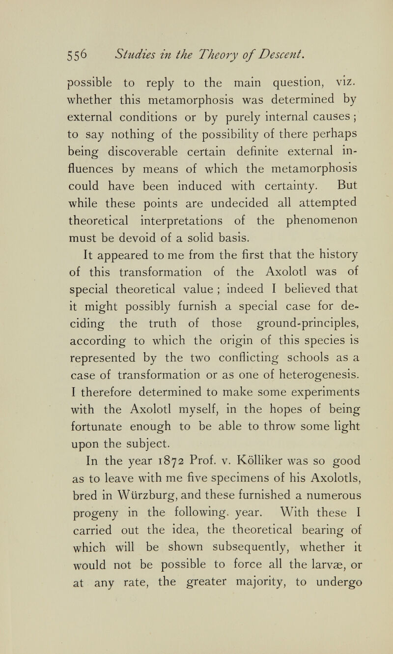 55^ Studies in the Theory of Descent. possible to reply to the main question, viz. whether this metamorphosis was determined by external conditions or by purely internal causes ; to say nothing of the possibility of there perhaps being discoverable certain definite external in¬ fluences by means of which the metamorphosis could have been induced with certainty. But while these points are undecided all attempted theoretical interpretations of the phenomenon must be devoid of a solid basis. It appeared to me from the first that the history of this transformation of the Axolotl was of special theoretical value ; indeed I believed that it might possibly furnish a special case for de¬ ciding the truth of those ground-principles, according to which the origin of this species is represented by the two conflicting schools as a case of transformation or as one of heterogenesis. I therefore determined to make some experiments with the Axolotl myself, in the hopes of being fortunate enough to be able to throw some light upon the subject. In the year 1872 Prof. v. Kölliker was so good as to leave with me five specimens of his Axolotls, bred in Würzburg, and these furnished a numerous progeny in the following, year. With these I carried out the idea, the theoretical bearing of which will be shown subsequently, whether it would not be possible to force all the larvae, or at any rate, the greater majority, to undergo