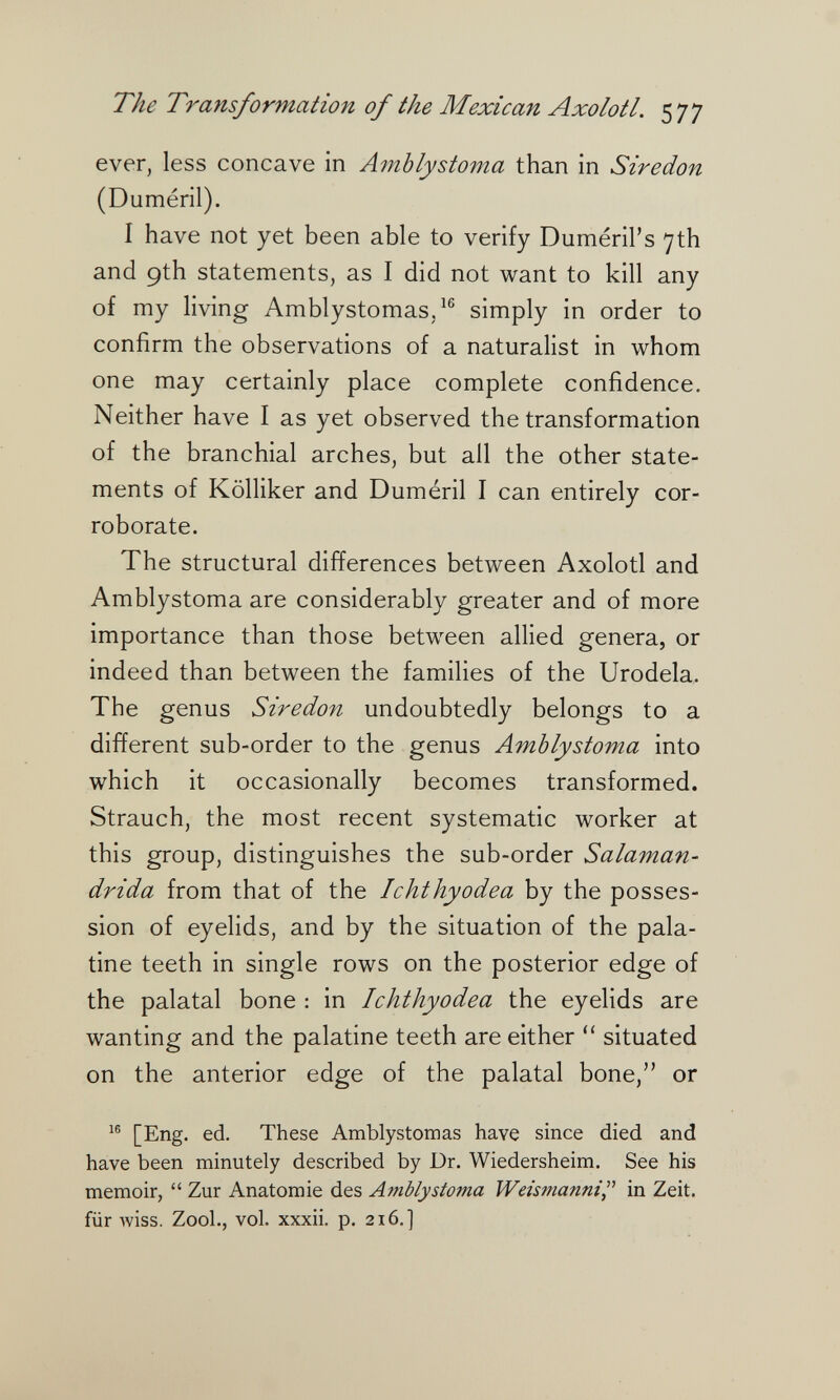 The Transformation of the Mexican Axolotl. 577 ever, less concave in Amblystoma than in Siredon (Duméril). I have not yet been able to verify Dumeril's 7th and 9th statements, as I did not want to kill any of my living Amblystomas,^® simply in order to confirm the observations of a naturalist in whom one may certainly place complete confidence. Neither have I as yet observed the transformation of the branchial arches, but all the other state¬ ments of Kölliker and Duméril I can entirely cor¬ roborate. The structural differences between Axolotl and Amblystoma are considerably greater and of more importance than those between allied genera, or indeed than between the families of the Urodela. The genus Siredon undoubtedly belongs to a different sub-order to the genus Amblystoma into which it occasionally becomes transformed. Strauch, the most recent systematic worker at this group, distinguishes the sub-order Salaman- drida from that of the Ichthyodea by the posses¬ sion of eyelids, and by the situation of the pala¬ tine teeth in single rows on the posterior edge of the palatal bone : in Ichthyodea the eyelids are wanting and the palatine teeth are either  situated on the anterior edge of the palatal bone, or [Eng. ed. These Amblystomas have since died and have been minutely described by Dr. Wiedersheim. See his memoir,  Zur Anatomie des Amblystoma Weismanni in Zeit, für wiss. Zool., vol. xxxii. p. 216.]
