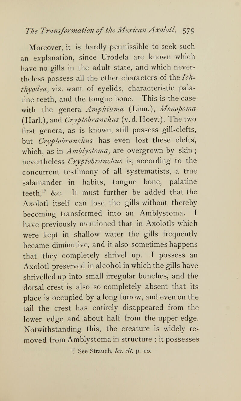 The Transformation of the Mexican Axolotl. 5 79 Moreover, it is hardly permissible to seek such an explanation, since Urodela are known which have no gills in the adult state, and which never¬ theless possess all the other characters of the/cÄ- thyodea, viz. want of eyelids, characteristic pala¬ tine teeth, and the tongue bone. This is the case with the genera Amphiuma (Linn.), Menopoma (Harl.),and Cryptobranchus (v.d.Hoev.). The two first genera, as is known, still possess gill-clefts, but Cryptobranchus has even lost these clefts, which, as in Amhlystoma, are overgrown by skin ; nevertheless Cryptobranchus is, according to the concurrent testimony of all systematists, a true salamander in habits, tongue bone, palatine teeth,&c. It must further be added that the Axolotl itself can lose the gills without thereby becoming transformed into an Amblystoma. I have previously mentioned that in Axolotls which were kept in shallow water the gills frequently became diminutive, and it also sometimes happens that they completely shrivel up. I possess an Axolotl preserved in alcohol in which the gills have shrivelled up into small irregular bunches, and the dorsal crest is also so completely absent that its place is occupied by a long furrow, and even on the tail the crest has entirely disappeared from the lower edge and about half from the upper edge. Notwithstanding this, the creature is widely re¬ moved from Amblystoma in structure ; it possesses See Strauch, loc. dt. p. 10.