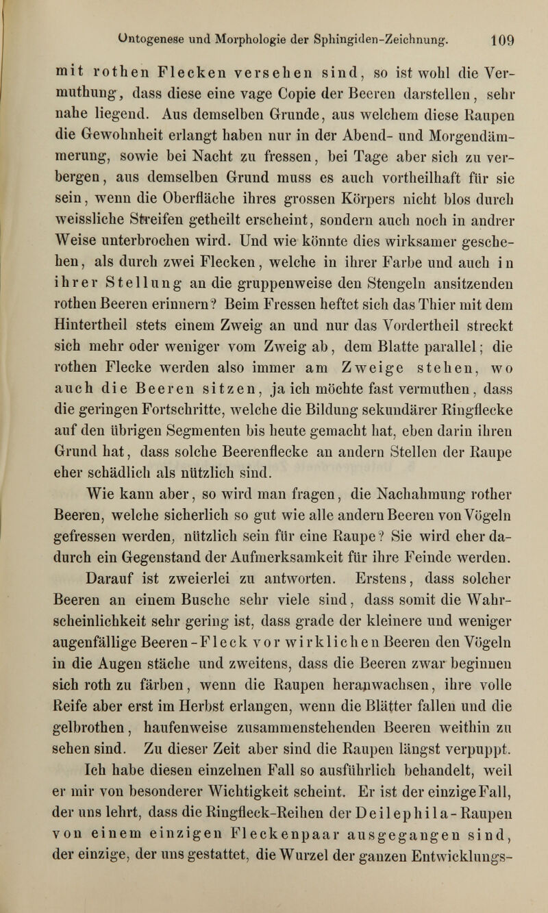 Ontogenese und Morphologie der Sphingiden-Zeichnung. 109 mit rothen Flecken versehen sind, so ist wohl die Ver- muthung-, dass diese eine vage Copie der Beeren darstellen, sehr nahe liegend. Aus demselben Grunde, aus welchem diese Raupen die Gewohnheit erlangt haben nur in der Abend- und Morgendäm¬ merung, sowie bei Nacht zu fressen, bei Tage aber sich zu ver¬ bergen, aus demselben Grund muss es auch vortheilhaft für sie sein, wenn die Oberfläche ihres grossen Körpers nicht blos durch weissliche Stî'eifen getheilt erscheint, sondern auch noch in andrer Weise unterbrochen wird. Und wie könnte dies wirksamer gesche¬ hen , als durch zwei Flecken, welche in ihrer Farbe und auch i n ihrer Stellung an die gruppenweise den Stengeln ansitzenden rothen Beeren erinnern? Beim Fressen heftet sich das Thier mit dem Hintertheil stets einem Zweig an und nur das Vordertheil streckt sich mehr oder weniger vom Zweig ab, dem Blatte parallel ; die rothen Flecke werden also immer am Zweige stehen, wo auch die Beeren sitzen, ja ich möchte fast vermuthen, dass die geringen Fortschritte, welche die Bildung sekundärer Ringflecke auf den übrigen Segmenten bis heute gemacht hat, eben darin ihren Grund hat, dass solche Beerenflecke an andern Stellen der Raupe eher schädlich als nützlich sind. Wie kann aber, so wird man fragen, die Nachahmung rother Beeren, welche sicherlich so gut wie alle andern Beeren von Vögeln gefressen werden^ nützlich sein für eine Raupe ? Sie wird eher da¬ durch ein Gegenstand der Aufmerksamkeit für ihre Feinde werden. Darauf ist zweierlei zu antworten. Erstens, dass solcher Beeren an einem Busche sehr viele sind, dass somit die Wahr¬ scheinlichkeit sehr gering ist, dass grade der kleinere und weniger augenfällige Beeren - Fleck vor wirklichen Beeren den Vögeln in die Augen stäche und zweitens, dass die Beeren zwar beginnen sich roth zu färben, wenn die Raupen heranwachsen, ihre volle Reife aber erst im Herbst erlangen, wenn die Blätter fallen und die gelbrothen, haufenweise zusammenstehenden Beeren weithin zu sehen sind. Zu dieser Zeit aber sind die Raupen längst verpuppt. Ich habe diesen einzelnen Fall so ausführlich behandelt, weil er mir von besonderer Wichtigkeit scheint. Er ist der einzige Fall, der uns lehrt, dass die Ringfleck-Reihen der D e i 1 ep h i 1 a - Raupen von einem einzigen Fleckenpaar ausgegangen sind, der einzige, der uns gestattet, die Wurzel der ganzen Entwicklungs-