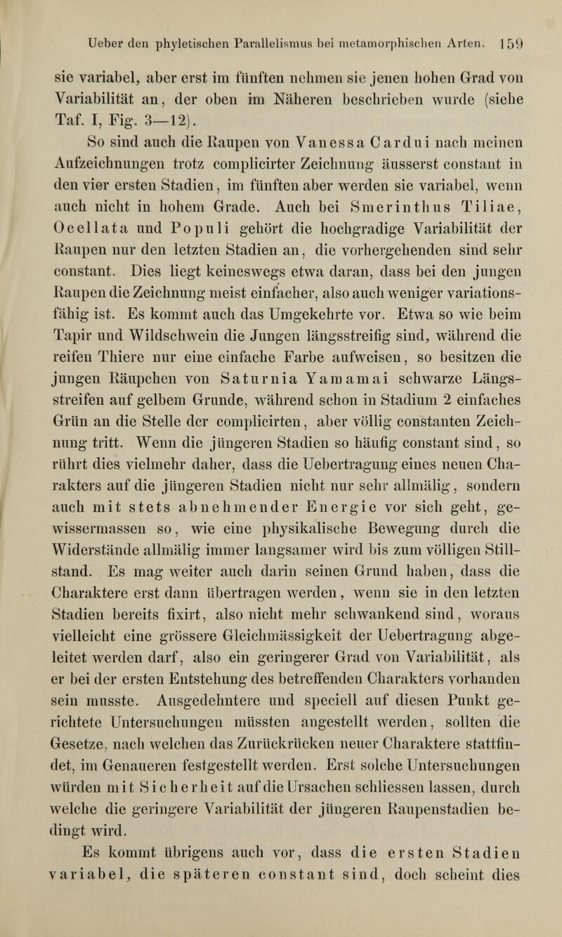 Ueber den phyletischen Pai'allelismus bei metamorphisclien Arten. 1 59 sie variabel, aber erst im fünften nehmen sie jenen hohen Grad von Variabilität an, der oben im Näheren beschrieben wurde (siehe Taf. I, Fig. 3—12). So sind auch die Kaupen von Vanessa С ardui nach meinen Aufzeichnungen trotz complicirter Zeichnung äusserst constant in den vier ersten Stadien, im fünften aber werden sie variabel, wenn auch nicht in hohem Grade. Auch bei Smeri nth us Tiliae, Ocellata und Populi gehört die hochgradige Variabilität der Kaupen nur den letzten Stadien an, die vorhergehenden sind sehr constant. Dies liegt keineswegs etwa daran, dass bei den j'ungen Kaupen die Zeichnung meist einfacher, also auch weniger variations¬ fähig ist. Es kommt auch das Umgekehrte vor. Etwa so wie beim Tapir und Wildschwein die Jungen längsstreifig sind, während die reifen Thiere nur eine einfache Farbe aufweisen, so besitzen die jungen Räupchen von Saturnia Yamamai schwarze Längs¬ streifen auf gelbem Grunde, während schon in Stadium 2 einfaches Grün an die Stelle der complicirten, aber völlig constanten Zeich¬ nung tritt. Wenn die jüngeren Stadien so häufig constant sind, so rührt dies vielmehr daher, dass die Uebertragung eines neuen Cha¬ rakters auf die jüngeren Stadien nicht nur sehr alhnälig, sondern auch mit stets abnehmender Energie vor sich geht, ge¬ wissennassen so, wie eine physikalische Bewegung durch die Widerstände allmälig immer langsamer wird bis zum völligen Still¬ stand. Es mag weiter auch darin seinen Grund haben, dass die Charaktere erst dann übertragen werden, wenn sie in den letzten Stadien bereits fixirt, also nicht mehr schwankend sind, woraus vielleicht eine grössere Gleichmässigkeit der Uebertragung abge¬ leitet werden darf, also ein geringerer Grad von Variabilität, als er bei der ersten Entstehung des betreffenden Charakters vorhanden sein musste. Ausgedehntere und speciell auf diesen Punkt ge¬ richtete Untersuchungen müssten angestellt werden, sollten die Gesetze, nach welchen das Zurückrücken neuer Charaktere stattfin¬ det, im Genaueren festgestellt werden. Erst solche Untersuchungen würden mit Sicherheit auf die Ursachen schliessen lassen, durch welche die geringere Variabilität der jüngeren Kaupenstadien be¬ dingt wird. Es kommt übrigens auch vor, dass die ersten Stadien variabel, die späteren constant sind, doch scheint dies