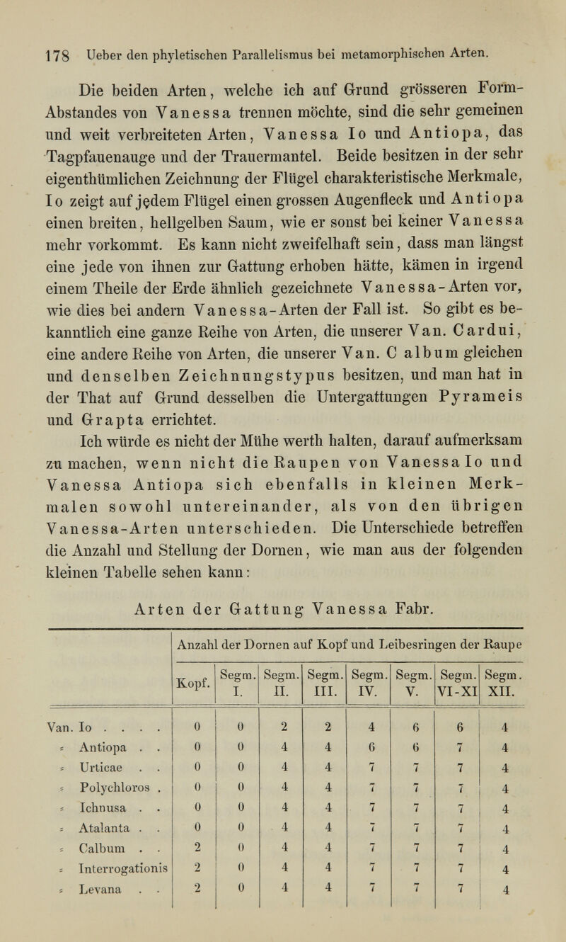 178 Ueber den phyletischen Parallelismus bei raetamorphischen Arten. Die beiden Arten, welche ich auf Grund grösseren Form- Abstandes von Vanessa trennen möchte, sind die sehr gemeinen und weit verbreiteten Arten, Vanessa Io und Antiopa, das Tagpfauenauge und der Trauermantel, Beide besitzen in der sehr eigenthümlichen Zeichnung der Flügel charakteristische Merkmale, Io zeigt auf jçdem Flügel einen grossen Augenfleck und Antiopa einen breiten, hellgelben Saum, wie er sonst bei keiner Vanessa mehr vorkommt. Es kann nicht zweifelhaft sein, dass man längst eine jede von ihnen zur Gattung erhoben hätte, kämen in irgend einem Theile der Erde ähnlich gezeichnete Vanessa-Arten vor, wie dies bei andern Van essa-Arten der Fall ist. So gibt es be¬ kanntlich eine ganze Reihe von Arten, die unserer Van. С ardui, eine andere Reihe von Arten, die unserer Van, С album gleichen und denselben Zeichnungstypus besitzen, und man hat in der That auf Grund desselben die Untergattungen Pyrameis und Gr apta errichtet. Ich würde es nicht der Mühe werth halten, darauf aufmerksam zumachen, wenn nicht die Raupen von Vanessalo und Vanessa Antiopa sich ebenfalls in kleinen Merk¬ malen sowohl untereinander, als von den übrigen Vanessa-Arten unterschieden. Die Unterschiede betreifen die Anzahl und Stellung der Dornen, wie man aus der folgenden kleinen Tabelle sehen kann : Arten der Gattung Vanessa Fahr,