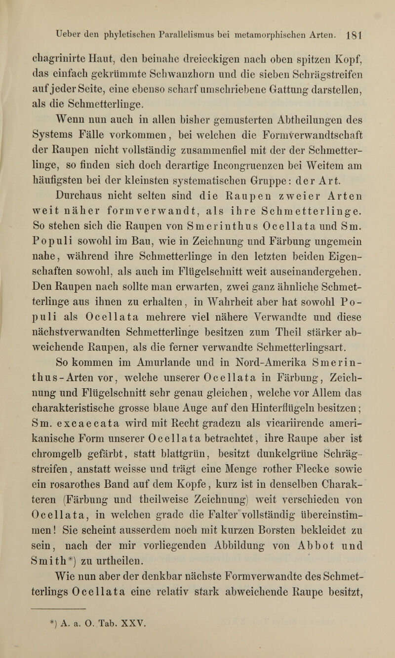 Ueber den phyletischen Parallelisraus bei metamorphischen Arten. 181 cbagrinirte Haut, den beinahe dreieckigen nach oben spitzen Kopf, das einfach gekrünmite Schwanzhorn und die sieben Schrägstreifen auf jeder Seite, eine ebenso scharf umschriebene Gattung darstellen, als die Schmetterlinge. Wenn nun auch in allen bisher gemusterten Abtheilungen des Systems Fälle vorkommen, bei welchen die Formverwandtschaft der Kaupen nicht vollständig zusammenfiel mit der der Schmetter¬ linge, so finden sich doch derartige Incongruenzen bei Weitem am häufigsten bei der kleinsten systematischen Gruppe: der Art. Durchaus nicht selten sind die Raupen zweier Arten weit näher formverwandt, als ihre Schmetterlinge. So stehen sich die Raupen von Smerinthus Ocellata und Sm. Populi sowohl im Bau, wie in Zeichnung und Färbung ungemein nahe, während ihre Schmetterlinge in den letzten beiden Eigen¬ schaften sowohl, als auch im Flügelschnitt weit auseinandergehen. Den Raupen nach sollte man erwarten, zwei ganz ähnliche Schmet¬ terlinge aus ihnen zu erhalten, in Wahrheit aber hat sowohl Po¬ puli als Ocellata mehrere viel nähere Verwandte und diese nächstverwandten Schmetterlinge besitzen zum Theil stärker ab¬ weichende Raupen, als die ferner verwandte Schmetterlingsart. So kommen im Amurlande und in Nord-Amerika Smerin¬ thus-Arten vor, welche unserer Ocellata in Färbung, Zeich¬ nung und Flügelschnitt sehr genau gleichen, welche vor Allem das charakteristische grosse blaue Auge auf den Hinterflügeln besitzen ; Sm. excaecata wird mit Recht gradezu als vicariirende ameri¬ kanische Form unserer Ocellata betrachtet, ihre Raupe aber ist Chromgelb gefärbt, statt blattgrün, besitzt dunkelgrüne Schräg¬ streifen, anstatt weisse und trägt eine Menge rother Flecke sowie ein rosarothes Band auf dem Kopfe, kurz ist in denselben Charak¬ teren (Färbung und theilweise Zeichnung) weit verschieden von Ocellata, in welchen grade die Falter'vollständig übereinstim¬ men ! Sie scheint ausserdem noch mit kurzen Borsten bekleidet zu sein, nach der mir vorliegenden Abbildung von Abbot und Smith*) zu urtheilen. Wie nun aber der denkbar nächste Formverwandte des Schmet¬ terlings Ocellata eine relativ stark abweichende Raupe besitzt, *) A. a. O. Tab. XXV.