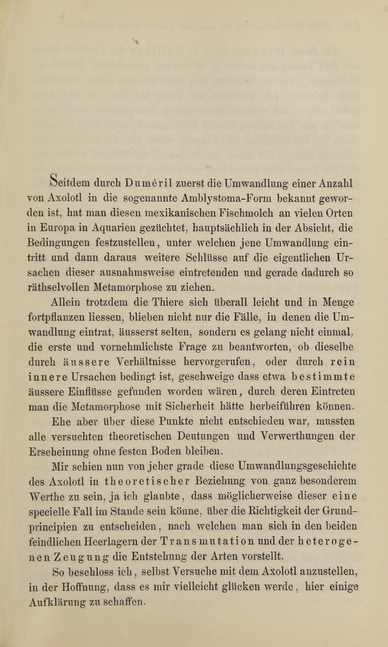 Seitdem durch Duméril zuerst die Umwandlung einer Anzahl von Axolotl in die sogenannte Amblystoma-Form bekannt gewor¬ den ist, hat man diesen mexikanischen Fischmolch an vielen Orten in Europa in Aquarien gezüchtet, hauptsächlich in der Absicht, die Bedingungen festzustellen, unter welchen jene Umwandlung ein¬ tritt und dann daraus weitere Schlüsse auf die eigentlichen Ur¬ sachen dieser ausnahmsweise eintretenden und gerade dadurch so räthselvollen Metamorphose zu ziehen. Allein trotzdem die Thiere sich überall leicht und in Menge fortpflanzen Hessen, blieben nicht nur die Fälle, in denen die Um¬ wandlung eintrat, äusserst selten, sondern es gelang nicht einmal; die erste und vornehmlichste Frage zu beantworten, ob dieselbe durch äussere Verhältnisse hervorgerufen, oder durch rein innere Ursachen bedingt ist, geschweige dass etwa bestimmte äussere Einflüsse gefunden worden wären, durch deren Eintreten man die Metamorphose mit Sicherheit hätte herbeiführen können. Ehe aber über diese Punkte nicht entschieden war, mussten alle versuchten theoretischen Deutungen und Verwerthungen der Erscheinung ohne festen Boden bleiben. Mir schien nun von jeher grade diese Umwandlungsgeschichte des Axolotl in theoretischer Beziehung von ganz besonderem Werthe zu sein, ja ich glaubte, dass möglicherweise dieser eine specielle Fall im Stande sein könne, über die Richtigkeit der Grund- principien zu entscheiden, nach welchen man sich in den beiden feindlichen Heerlagern der Transmutation und der heteroge¬ nen Zeugung die Entstehung der Arten vorstellt. So beschloss ich, selbst Versuche mit dem Axolotl anzustellen, in der Hoffnung, dass es mir vielleicht glücken werde, hier einige Aufklärung zu schaffen.