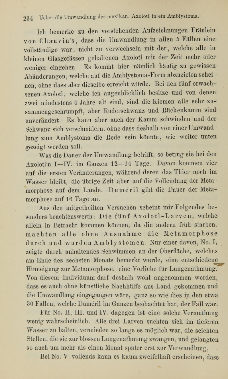 234 Ueber die Umwandlung des mexikan. Axolotl in ein Amblystoma. Ich bemerke zu den vorstellenden Aufzeichnungen Fräulein von Chauvin's, dass die Umwandlung in allen 5 Fällen eine vollständige war, nicht zu verwechseln mit der, welche alle in kleinen Glasgefässen gehaltenen Axolotl mit der Zeit mehr oder weniger eingehen. Es kommt hier nämlich häufig zu gewissen Abänderungen, welche auf die Amblystoma-Form abzuzielen schei¬ nen, ohne dass aber dieselbe erreicht würde. Bei den fünf erwach¬ senen Axolotl ; welche ich augenblicklich besitze und von denen zwei mindestens 4 Jahre alt sind, sind die Kiemen alle sehr zu¬ sammengeschrumpft, aber Ruderschwanz und Rückenkamm sind unverändert. Es kann aber auch der Kamm schwinden und der Schwanz sich verschmälern, ohne dass deshalb von einer Umwand¬ lung zum Amblystoma die Rede sein könnte, wie weiter unten gezeigt werden soll. Was die Dauer der Umwandlung betrifft, so betrug sie bei den Axolotl'n I—IV. im Ganzen 12—14 Tage. Davon kommen vier auf die ersten Veränderungen, während deren das Thier noch im Wasser bleibt, die übrige Zeit aber auf die Vollendung der Meta¬ morphose auf dem Lande. Duméril gibt die Dauer der Meta¬ morphose auf 16 Tage an. Aus den mitgetheilten Versuchen scheint mir Folgendes be¬ sonders beachtenswerth : Die fünf Axolotl-Larven, welche allein in Betracht kommen können, da die andern früh starben, machten alle ohne Ausnahme die Metamorphose durch und w u r d e n A m b 1 y s 10 m e n. Nur einer daл^on, No. I, zeigte durch anhaltendes Schwimmen an der Oberfiäche, welches am Ende des sechsten Monats bemerkt wurde, eine entschiedene Hinneigung zur Metamorphose, eine Vorliebe für Lungenathmung. Von diesem Individuum darf deshalb wohl angenommen werden, dass es auch ohne künstliche Nachhülfe ans Land gekommen und die Umwandlung eingegangen wäre, ganz so лvie dies in den etwa 30 Fällen, welche Duméril im Ganzen beobachtet hat, der Fall war. Für No. II, III. und IV. dagegen ist eine solche Vermuthung wenig wahrscheinlich. Alle drei Larven suchten sich im tieferen Wasser zu halten, vermieden so lange es möglich war, die seichten Stellen, die sie zur blossen Lungenathmung zwangen, und gelangten so auch um mehr als einen Monat später erst zur Verwandlung. Bei No. V. vollends kann es kaum zweifelhaft erscheinen, dass