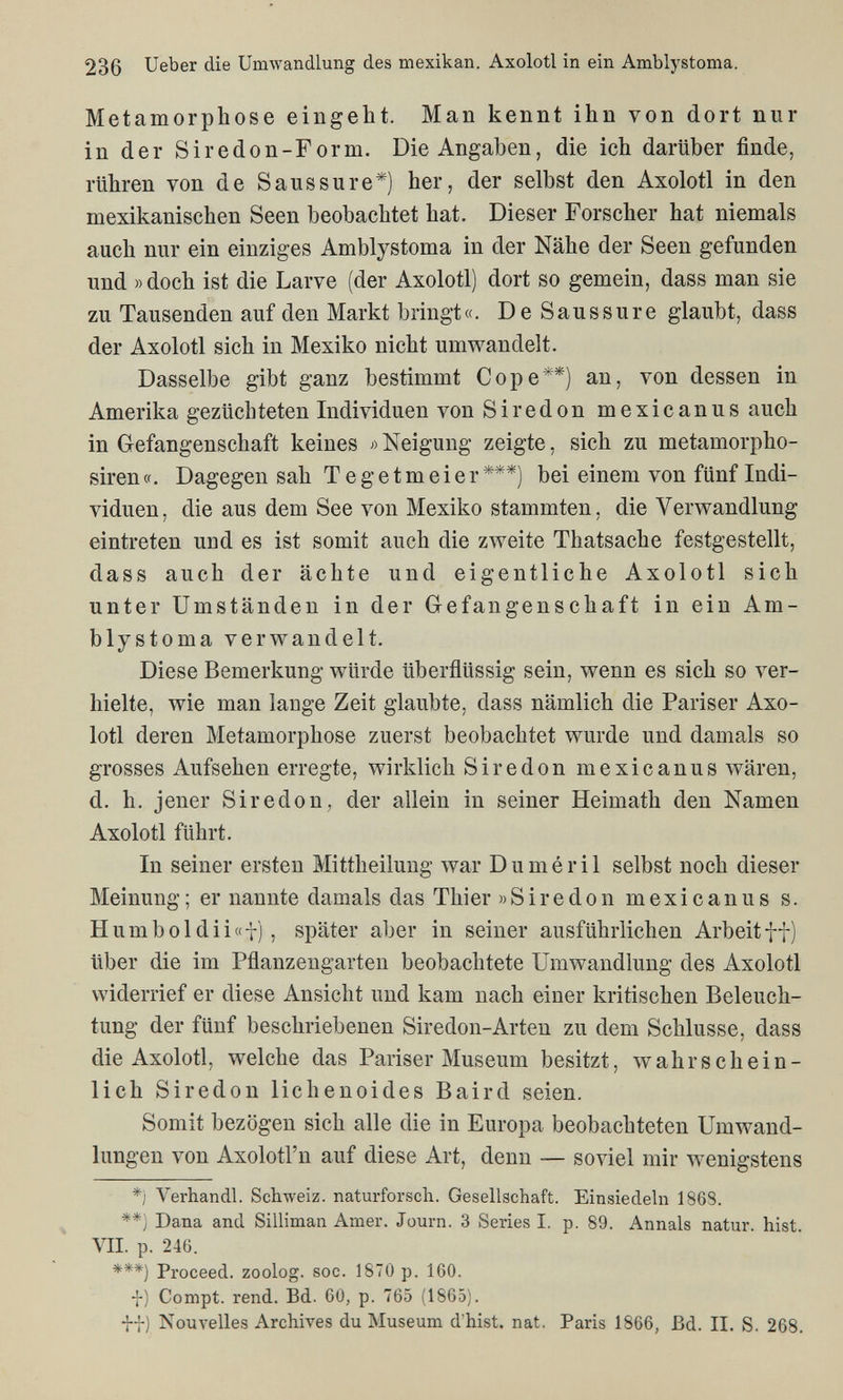 236 Ueber die Umwandlung des mexikan. Axolotl in ein Amblystoma. Metamorphose eingeht. Man kennt ihn von dort nur in der Siredon-Form. Die Angaben, die ich darüber finde, rühren von de Saussure*) her, der selbst den Axolotl in den mexikanischen Seen beobachtet hat. Dieser Forscher hat niemals auch nur ein einziges Amblystoma in der Nähe der Seen gefunden und » doch ist die Larve (der Axolotl) dort so gemein, dass man sie zu Tausenden auf den Markt bringt«. De Saussure glaubt, dass der Axolotl sich in Mexiko nicht umwandelt. Dasselbe gibt ganz bestimmt Cope**) an, von dessen in Amerika gezüchteten Individuen von Siredon mexicanus auch in Gefangenschaft keines Neigung zeigte, sich zu metamorpho- siren«. Dagegen sah Tegetmeier***) bei einem von fünf Indi¬ viduen, die aus dem See von Mexiko stammten, die Verwandlung eintreten und es ist somit auch die zweite Thatsache festgestellt, dass auch der ächte und eigentliche Axolotl sich unter Umständen in der Gefangenschaft in ein Am¬ blystoma verwandelt. Diese Bemerkung würde überflüssig sein, wenn es sich so ver¬ hielte, wie man lange Zeit glaubte, dass nämlich die Pariser Axo¬ lotl deren Metamorphose zuerst beobachtet wurde und damals so grosses Aufsehen erregte, wirklich Siredon mexicanus wären, d. h. jener Siredon, der allein in seiner Heimath den Namen Axolotl führt. In seiner ersten Mittheilung war D u m é r i 1 selbst noch dieser Meinung; er nannte damals das Thier »Siredon mexicanus s. H umboldii«t) , später aber in seiner ausführlichen Arbeit ff) über die im Pflanzengarten beobachtete Umwandlung des Axolotl widerrief er diese Ansicht und kam nach einer kritischen Beleuch¬ tung der fünf beschriebenen Siredon-Arten zu dem Schlüsse, dass die Axolotl, welche das Pariser Museum besitzt, wahrschein¬ lich Siredon lichenoides Baird seien. Somit bezögen sich alle die in Europa beobachteten Umwand¬ lungen von Axolotl'n auf diese Art, denn — soviel mir wenigstens *) Verhandl. Schweiz, naturforsch. Gesellschaft. Einsiedeln 1868. ^ **) Dana and Silliman Amer. Journ. 3 Series I. p. 89. Annals natur. hist. VII. p. 246. ***) Proceed, zoolog. soc. 1870 p. 160. f) Compt. rend. Bd. 60, p. 765 (1865). f-;-) Nouvelles Archives du Museum d'hist, nat. Paris 1866, Bd. II. S. 268.