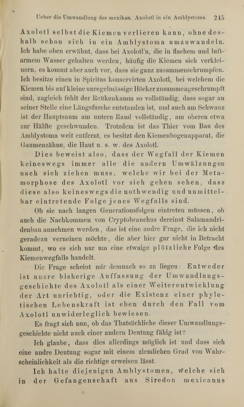 lieber die Umwandlung des mexikan. Axolotl in ein Amblystoma. 245 Axolotl selbst die Kiemen verlieren kann, ohnedes- halb schon sich in ein Amblystoma umzuwandeln. Ich habe oben erwähnt, dass bei Axolotl'n, die in flachem und luft¬ armem Wasser gehalten werden, häufig die Kiemen sich verklei¬ nern, es kommt aber auch vor, dass sie ganz zusammenschrumpfen. Ich besitze einen in Spiritus konservirten Axolotl, bei welchem die Kiemen bis auf kleine unregelmässige Höcker zusammengeschrumpft sind, zugleich fehlt der llcükenkamm so vollständig, dass sogar an seiner Stelle eine Längsfurche entstanden ist, und auch am Schwanz ist der Hauptsaum am untern Rand vollständig, am oberen etwa zur Hälfte geschwunden. Trotzdem ist das Thier vom Bau des Amblystoma weit entfernt, es besitzt den Kiemenbogenapparat, die Gaumenzähne, die Haut u. s. w. des Axolotl. Dies beweist also, dass der Wegfall der Kiemen keineswegs immer alle die andern Umwälzungen nach sich ziehen muss, welche wir bei der Meta¬ morphose des Axolotl vor sich gehen sehen, dass diese also keineswegs die nothwendig undunmittel- bar eintretende Folge jenes Wegfalls sind. Ob sie nach langen Generationsfolgen eintreten müssen, ob auch die Nachkommen von Cryptobranchus dereinst Salamandri- denbau annehmen werden, das ist eine andre Frage, die ich nicht geradezu verneinen möchte, die aber hier gar nicht in Betracht kommt, wo es sich nur um eine etwaige plötzliche Folge'des Kiemenwegfalls handelt. Die Frage scheint mir demnach so zu liegen: Entweder ist unsre bisherige Auffassung der UmAvandlungs- geschichte des Axolotl als einer Weiterentwicklung der Art unrichtig, oder die Existenz einer phyle- tischen Lebenskraft ist eben durch den Fall vom Axolotl unwiderleglich bewiesen. Es fragt sich nun, ob das Thatsächliche dieser Umwandlungs¬ geschichte nicht auch einer andern Deutung fähig ist? Ich glaube, dass dies allerdings möglich ist und dass sich eine andre Deutung sogar mit einem ziemlichen Grad von Wahr¬ scheinlichkeit als die richtige erweisen lässt. Ich halte diejenigen Amblystomen, Welche sich in der Gefangenschaft aus Siredon mexicanus