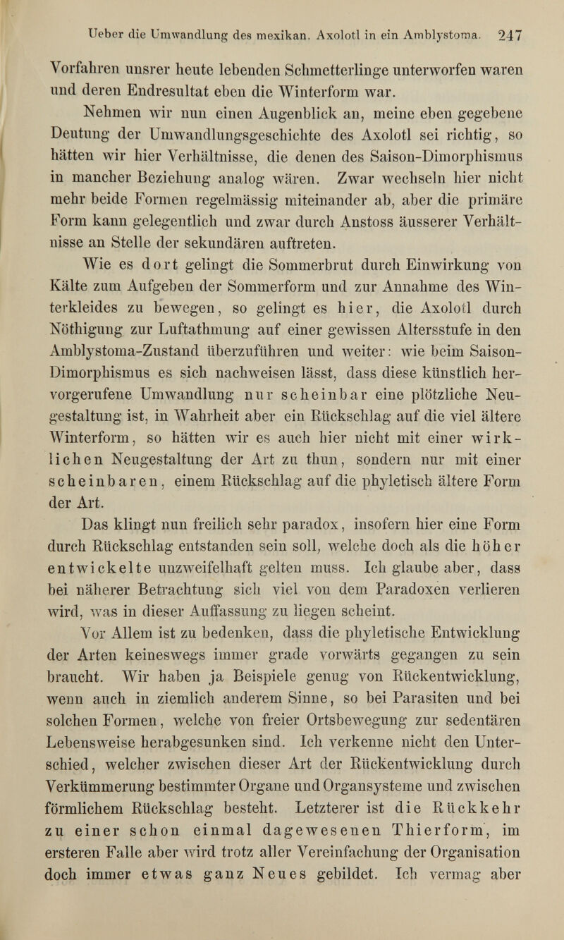 Ueber die Umwandlung des mexikan. Axolotl in ein Amblystoma. 247 Vorfahren iinsrer heute lebenden Schmetterlinge unterworfen waren und deren Endresultat eben die Winterform war. Nehmen wir nun einen Augenblick an, meine eben gegebene Deutung der Umwandlungsgeschichte des Axolotl sei richtig, so hätten wir hier Verhältnisse, die denen des Saison-Dimorphismus in mancher Beziehung analog Avären. Zwar wechseln hier nicht mehr beide Formen regelmässig miteinander ab, aber die primäre Form kann gelegentlich und zwar durch Anstoss äusserer Verhält¬ nisse an Stelle der sekundären auftreten. Wie es dort gelingt die Sommerbrut durch Einwirkung von Kälte zum Aufgeben der Sommerform und zur Annahme des Win¬ terkleides zu bewegen, so gelingt es hier, die Axolotl durch Nöthigung zur Luftathmung auf einer gewissen Altersstufe in den Amblystoma-Zustand überzuführen und weiter : wie beim Saison- Dimorphismus es sich nachweisen lässt, dass diese künstlich her¬ vorgerufene Umwandlung nur scheinbar eine plötzliche Neu¬ gestaltung ist, in Wahrheit aber ein Rückschlag auf die viel ältere Winterform, so hätten wir es auch hier nicht mit einer wirk¬ lichen Neugestaltung der Art zu thun, sondern nur mit einer scheinbaren, einem Rückschlag auf die phyletisch ältere Form der Art. Das klingt nun freilich sehr paradox, insofern hier eine Form durch Rückschlag entstanden sein soll, welche doch als die höher entwickelte unzweifelhaft gelten muss. Ich glaube aber, dass bei näherer Betrachtung sich viel von dem Paradoxen verlieren wird, was in dieser Auffassung zu liegen scheint. Vor Allem ist zu bedenken, dass die phyletische Entwicklung der Arten keineswegs immer grade vorwärts gegangen zu sein braucht. Wir haben ja Beispiele genug von Rückentwicklung, wenn auch in ziemlich anderem Sinne, so bei Parasiten und bei solchen Formen, welche von freier Ortsbewegung zur sedentären Lebensweise herabgesunken sind. Ich verkenne nicht den Unter¬ schied, welcher zwischen dieser Art der Rückentwicklung durch Verkümmerung bestimmter Organe und Organsysteme und zwischen förmlichem Rückschlag besteht. Letzterer ist die Rückkehr zu einer schon einmal dagewesenen Thierform, im ersteren Falle aber wird trotz aller Vereinfachung der Organisation doch immer etwas ganz Neues gebildet. Ich vermag aber