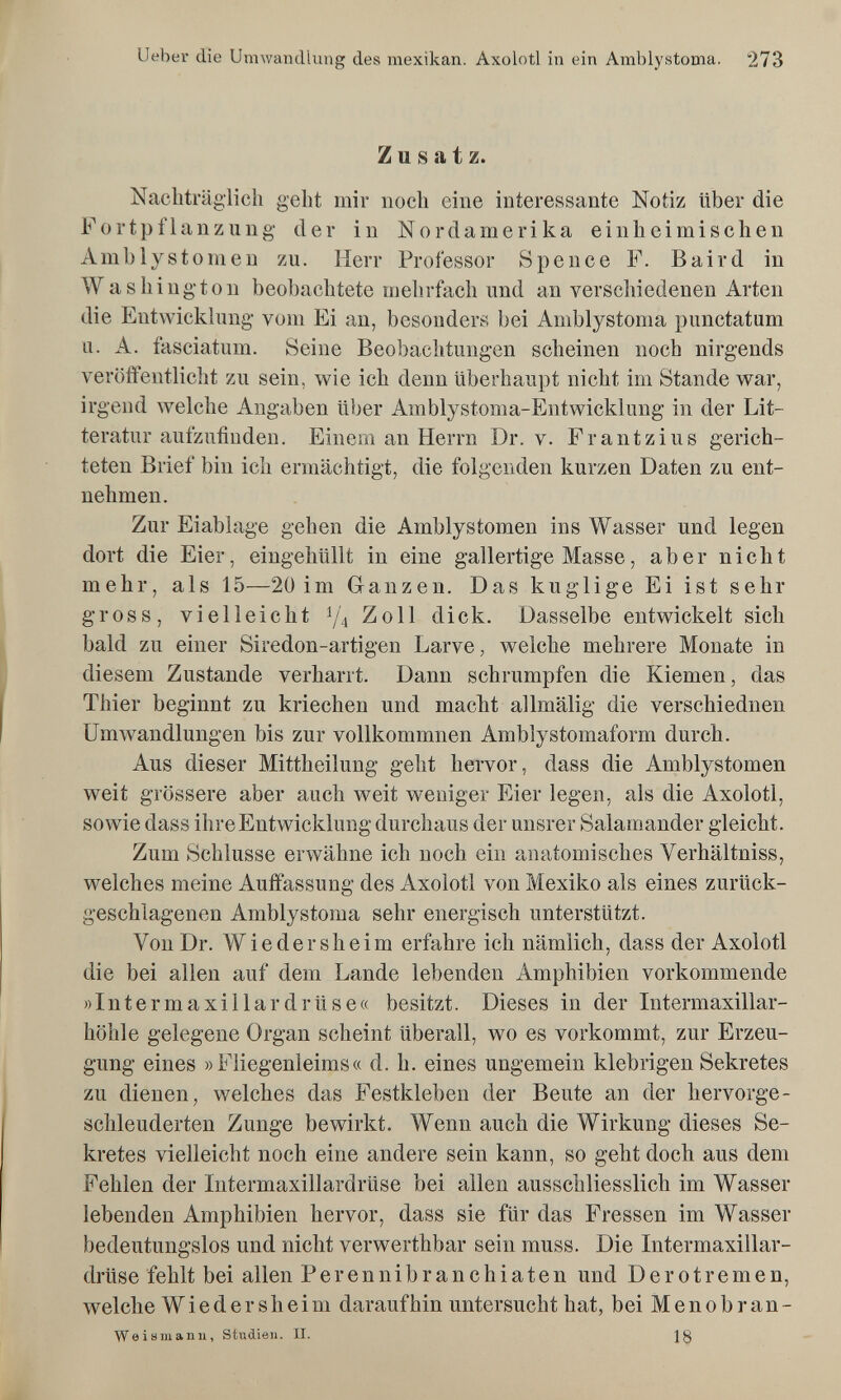 Ueber die Umwandlung des mexikan. Axolotl in ein Amblystoma. 273 Zusatz. Nacbträglicli gellt mir noch eine interessante Notiz über die Fortpflanzung der in Nordamerika einheimischen Amblystomen zu. Herr Professor Spence F. Baird in Washington beobachtete mehrfach und an verschiedenen Arten die Entwicklung vom Ei an, besonders bei Amblystoma punctatum u. A. fasciatum. Seine Beobachtungen scheinen noch nirgends veröftentlicht zu sein, wie ich denn überhaupt nicht im Stande war, irgend welche Angaben über Amblystoma-Entwicklung in der Lit- teratur aufzufinden. Einem an Herrn Dr. v. Frantzius gerich¬ teten Brief bin ich ermächtigt, die folgenden kurzen Daten zu ent¬ nehmen. Zur Eiablage gehen die Amblystomen ins Wasser und legen dort die Eier, eingehüllt in eine gallertige Masse, aber nicht mehr, als 15—20 im Ganzen. Das kuglige Ei ist sehr gross, vielleicht Y4 Zoll dick. Dasselbe entwickelt sich bald zu einer Siredon-artigen Larve, welche mehrere Monate in diesem Zustande verharrt. Dann schrumpfen die Kiemen, das Thier beginnt zu kriechen und macht alImälig die verschiednen Umwandlungen bis zur vollkommnen Amblystomaform durch. Aus dieser Mittheilung geht hervor, dass die Amblystomen weit grössere aber auch weit weniger Eier legen, als die Axolotl, sowie dass ihre Entwicklung durchaus der unsrer Salamander gleicht. Zum Schlüsse erwähne ich noch ein anatomisches Verhältniss, welches meine Auffassung des Axolotl von Mexiko als eines zurück¬ geschlagenen Amblystoma sehr energisch unterstützt. Von Dr. Wiedersheim erfahre ich nämlich, dass der Axolotl die bei allen auf dem Lande lebenden Amphibien vorkommende »Intermaxillardrüse« besitzt. Dieses in der Intermaxillar- höhle gelegene Organ scheint überall, wo es vorkommt, zur Erzeu¬ gung eines » Fiiegenleims « d. h. eines ungemein klebrigen Sekretes zu dienen, welches das Festkleben der Beute an der hervorge¬ schleuderten Zunge bewirkt. Wenn auch die Wirkung dieses Se¬ kretes vielleicht noch eine andere sein kann, so geht doch aus dem Fehlen der Intermaxillardrüse bei allen ausschliesslich im Wasser lebenden Amphibien hervor, dass sie für das Fressen im Wasser bedeutungslos und nicht verwerthbar sein muss. Die Intermaxillar¬ drüse fehlt bei allen Perennibranchiaten und Derotremen, welche Wie der sheim daraufhin untersucht hat, bei Menobran- Weismann, Studien. II. lg