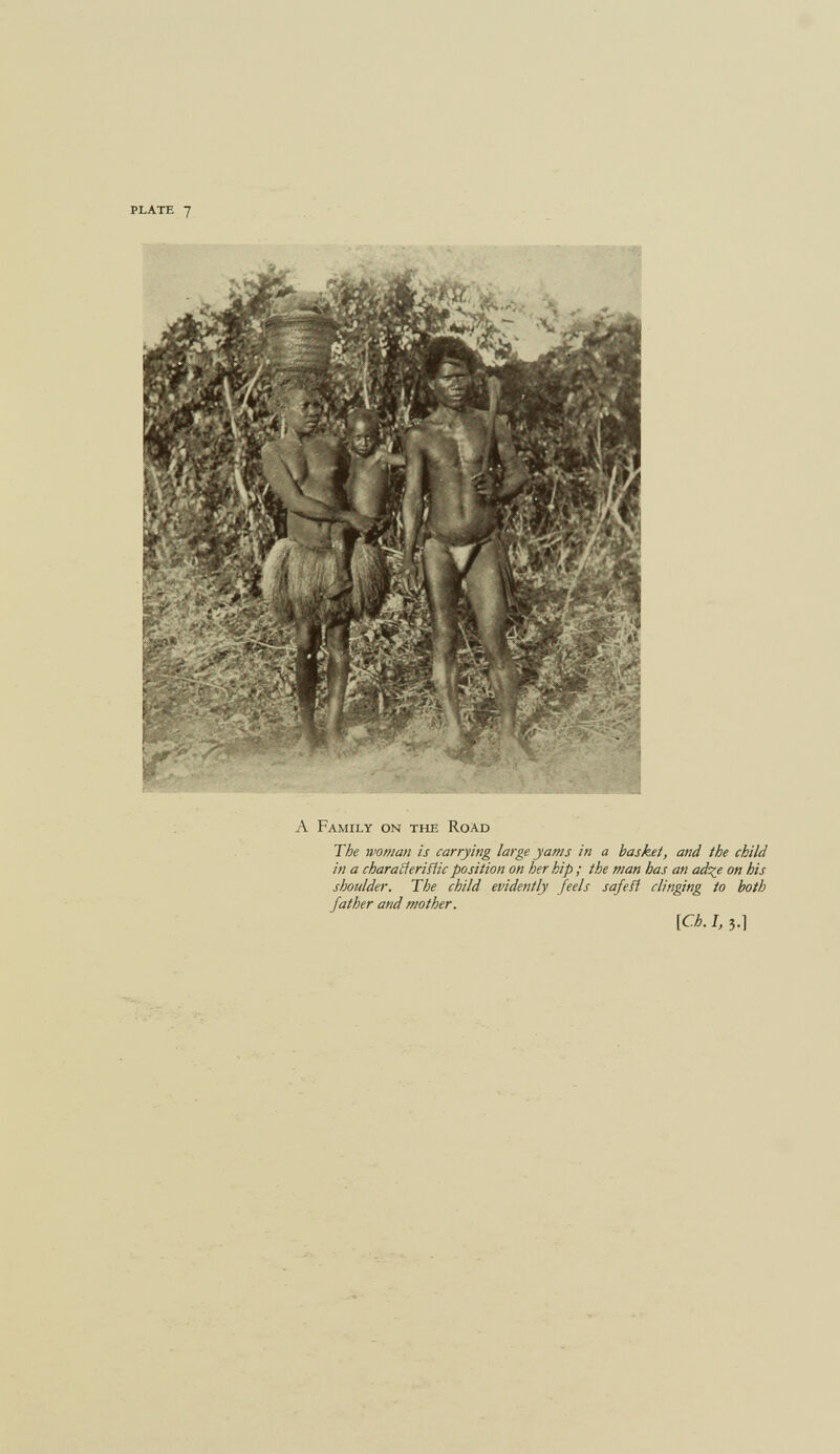 plate 7 A Family on the Road The woman is carrying large yams in a basket, and the child in a charafíeriñic position on her hip; the man has an ad^e on his shoulder. The child evidently feels safe fi clinging to hath father and mother. [0.7,3.1