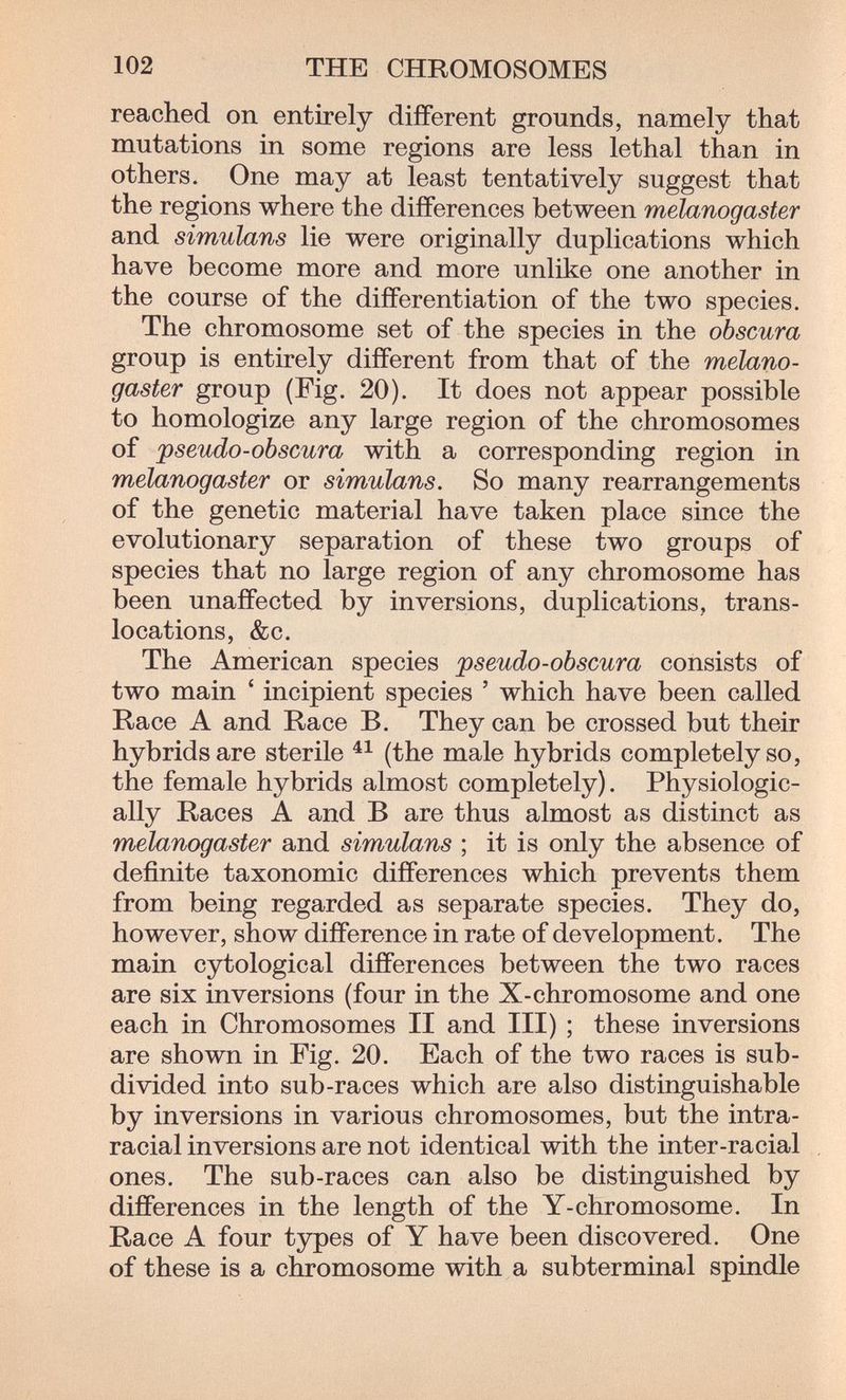102 THE CHROMOSOMES reached on entirely different grounds, namely that mutations in some regions are less lethal than in others. One may at least tentatively suggest that the regions where the differences between melanogaster and simulans lie were originally duplications which have become more and more unlike one another in the course of the differentiation of the two species. The chromosome set of the species in the obscura group is entirely different from that of the melano¬ gaster group (Fig, 20). It does not appear possible to homologize any large region of the chromosomes of pseudo-obscura with a corresponding region in melanogaster or simulans. So many rearrangements of the genetic material have taken place since the evolutionary separation of these two groups of species that no large region of any chromosome has been unaffected by inversions, duplications, trans¬ locations, &c. The American species pseudo-obscura consists of two main ' incipient species ' which have been called Race A and Race B. They can be crossed but their hybrids are sterile (the male hybrids completely so, the female hybrids almost completely). Physiologic¬ ally Races A and В are thus almost as distinct as melanogaster and simulans ; it is only the absence of definite taxonomic differences which prevents them from being regarded as separate species. They do, however, show difference in rate of development. The main cytological differences between the two races are six inversions (four in the X-chromosome and one each in Chromosomes II and III) ; these inversions are shown in Fig. 20. Each of the two races is sub¬ divided into sub-races which are also distinguishable by inversions in various chromosomes, but the intra- racial inversions are not identical with the inter-racial ones. The sub-races can also be distinguished by differences in the length of the Y-chromosome. In Race A four types of Y have been discovered. One of these is a chromosome with a subterminal spindle