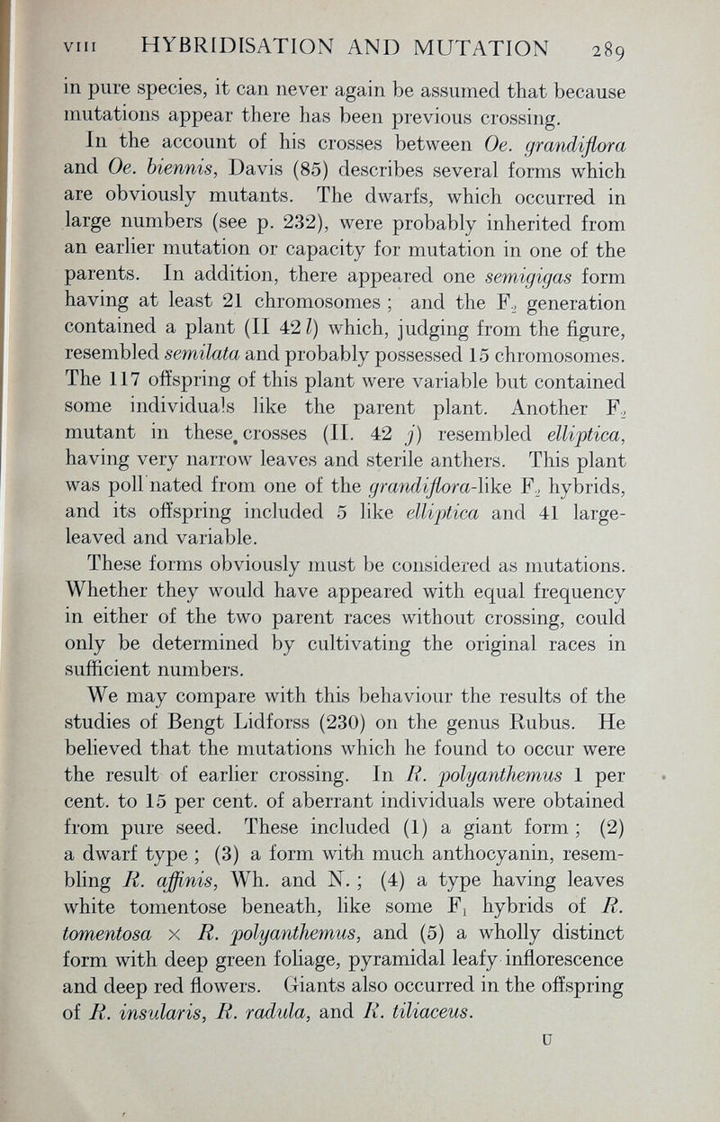 in pure species, it can never again be assumed that because mutations appear there has been previous crossing. In the account of his crosses between Oe. grandiflora and Oe. biennis, Davis (85) describes several forms which are obviously mutants. The dwarfs, which occurred in large numbers (see p. 232), were probably inherited from an earlier mutation or capacity for mutation in one of the parents. In addition, there appeared one semigigas form having at least 21 chromosomes ; and the F., generation contained a plant (II 42 I) which, judging from the figure, resembled semilata and probably possessed 15 chromosomes. The 117 offspring of this plant were variable but contained some individuals like the parent plant. Another ¥, mutant in these, crosses (il 42 j) resembled ellittica, having very narrow leaves and sterile anthers. This plant was poll nated from one of the grandiflora- like F., hybrids, and its offspring included 5 like ellittica and 41 large- leaved and variable. These forms obviously must be considered as mutations. Whether they would have appeared with equal frequency in either of the two parent races without crossing, could only be determined by cultivating the original races in sufficient numbers. We may compare with this behaviour the results of the studies of Bengt Lidforss (230) on the genus Rubus. He believed that the mutations which he found to occur were the result of earlier crossing. In R. polyanthemus 1 peí- cent. to 15 per cent, of aberrant individuals were obtained from pure seed. These included (1) a giant form; (2) a dwarf type ; (3) a form with much anthocyanin, resem bling R. affinis , Wh. and N. ; (4) a type having leaves white tomentose beneath, like some F x hybrids of R. tomentosa x R. polyanthemus, and (5) a wholly distinct form with deep green foliage, pyramidal leafy inflorescence and deep red flowers. Giants also occurred in the offspring of R. insularis, R. radula , and R. tiliaceus. u