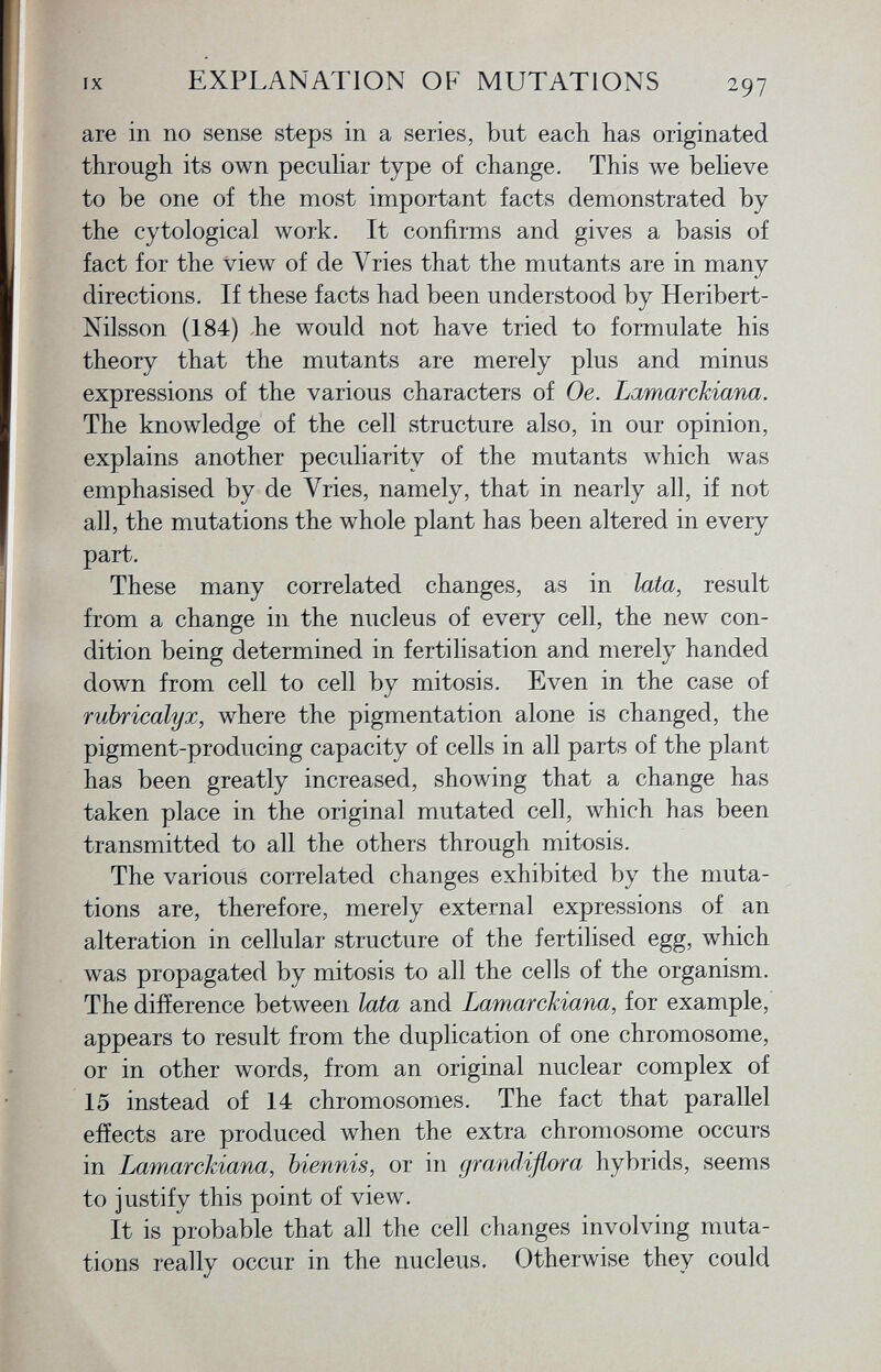are in no sense steps in a series, but each has originated through its own peculiar type of change. This we believe to be one of the most important facts demonstrated by the cytological work. It confirms and gives a basis of fact for the view of de Yries that the mutants are in many directions. If these facts had been understood by Heribert- Nilsson (184) he would not have tried to formulate his theory that the mutants are merely plus and minus expressions of the various characters of Oe. Lamarckiana. The knowledge of the cell structure also, in our opinion, explains another peculiarity of the mutants which was emphasised by de Yries, namely, that in nearly all, if not all, the mutations the whole plant has been altered in every part. These many correlated changes, as in lata, result from a change in the nucleus of every cell, the new con dition being determined in fertilisation and merely handed down from cell to cell by mitosis. Even in the case of rubricalyx, where the pigmentation alone is changed, the pigment-producing capacity of cells in all parts of the plant has been greatly increased, showing that a change has taken place in the original mutated cell, which has been transmitted to all the others through mitosis. The various correlated changes exhibited by the muta tions are, therefore, merely external expressions of an alteration in cellular structure of the fertilised egg, which was propagated by mitosis to all the cells of the organism. The difference between lata and Lamarckiana , for example, appears to result from the duplication of one chromosome, or in other words, from an original nuclear complex of 15 instead of 14 chromosomes. The fact that parallel effects are produced when the extra chromosome occurs in Lamarckiana, biennis, or in grandiflora hybrids, seems to justify this point of view. It is probable that all the cell changes involving muta tions really occur in the nucleus. Otherwise they could