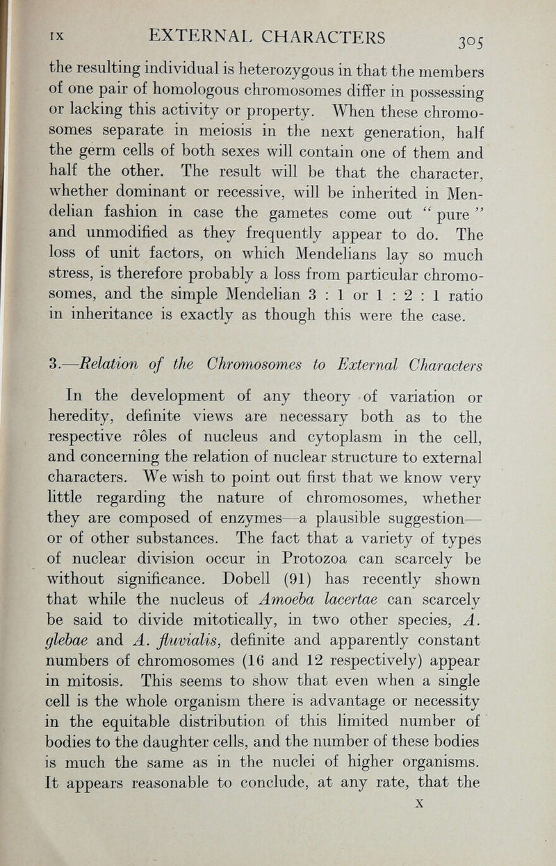 the resulting individual is heterozygous in that the members of one pair of homologous chromosomes differ in possessing or lacking this activity or property. When these chromo somes separate in meiosis in the next generation, half the germ cells of both sexes will contain one of them and half the other. The result will be that the character, whether dominant or recessive, will be inherited in Men- delian fashion in case the gametes come out  pure  and unmodified as they frequently appear to do. The loss of unit factors, on which Mendelians lay so much stress, is therefore probably a loss from particular chromo somes, and the simple Mendelian 3 : 1 or 1 : 2 : 1 ratio in inheritance is exactly as though this were the case. 3.— Relation of the Chromosomes to External Characters In the development of any theory of variation or heredity, definite views are necessary both as to the respective rôles of nucleus and cytoplasm in the cell, and concerning the relation of nuclear structure to external characters. We wish to point out first that we know very little regarding the nature of chromosomes, whether they are composed of enzymes—a plausible suggestion— or of other substances. The fact that a variety of types of nuclear division occur in Protozoa can scarcely be without significance. Dobell (91) has recently shown that while the nucleus of Amoeba laœertae can scarcely be said to divide mitotically, in two other species, A. glebae and A. fluvialis, definite and apparently constant numbers of chromosomes (16 and 12 respectively) appear in mitosis. This seems to show that even when a single cell is the whole organism there is advantage or necessity in the equitable distribution of this limited number of bodies to the daughter cells, and the number of these bodies is much the same as in the nuclei of higher organisms. It appears reasonable to conclude, at any rate, that the X