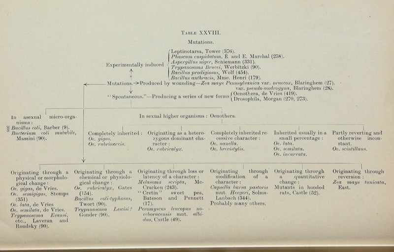 T able XXVIII. In asexual micro-orga nisms : o Bacillus coli , Barber (9). Bacterium co/i mutabile, Massini (90). Experimentally induced 1 Mutations. fLeptinotarsa, Tower (.'>7(>). Phascum cuspidatum, É. and E. Marchai (258). ! Aspergillus niger, Schieniann (331). Trypanosoma Brvcei, Werhitzki (90). Bacillus prodigiosas, Wolf (454). \ Bacillus anthracis, Mme. Henri (179). N t Mutations.-^-Produced by wounding— Zea mays Pennsylvania var. nraecox , Blaringhem (27). ì var. pseudo-androgyna, Blaringhem (2&). , (C! . * „ ,, , e t ÍOenothera, de Vries (419). Spontaneous. —Producing a series ot new forms{ ... , 1 I ® ^Drosophua, Morgan (270, 273). In sexual higher organisms : Oenot hera. I I ... ! J I I Completely inherited: Originating as a lietero- Completely inherited re- Inherited usually in a Partly reverting and Oe. gigas. zygous dominant cha- eessive character : small percentage : otherwise incon- Oc. rubrinerris, raoter : Oc. nanella. Oc. lata. stant. Oe. rubricalyx. Oc. brevistylis. Oe. sanilata. Oc. scintillais. Oc. incurvata. Originating through a physical or morpholo gical change• Oe. gigas, de Vries. Oc. semigigas, Stomps (351) 0<. lata, de ^ ries Oc. .sevi Hata, de Vries. Trypanosoma Evansi, etc., Laveran and Koudsky (90). Originating through a chemical or physiolo gical change : Oe. rubricali/x, («ates (154). Bacillus coli-ti/jmo&us, Twort (90). Trypanosoma Lewis i ? ( louder (90), Originating through loss or latency of a character : Me! asoma scripta, Mo- Oracken (243). Cretin sweet pea, Bateson and Pun nett (17). Peromyscns leucopus no- ccboraccusis mut. albi- dus, ( 'nstle (49). Originating through modification of a character : Capsella bursa past or is mut. Hcegeri, Solms- Laubaeh (.S44). Probably many others. Originating through a quantitative change : Mutants in hooded rats, Castle (52). Originating through reversion : Zea mays tunicata, East.