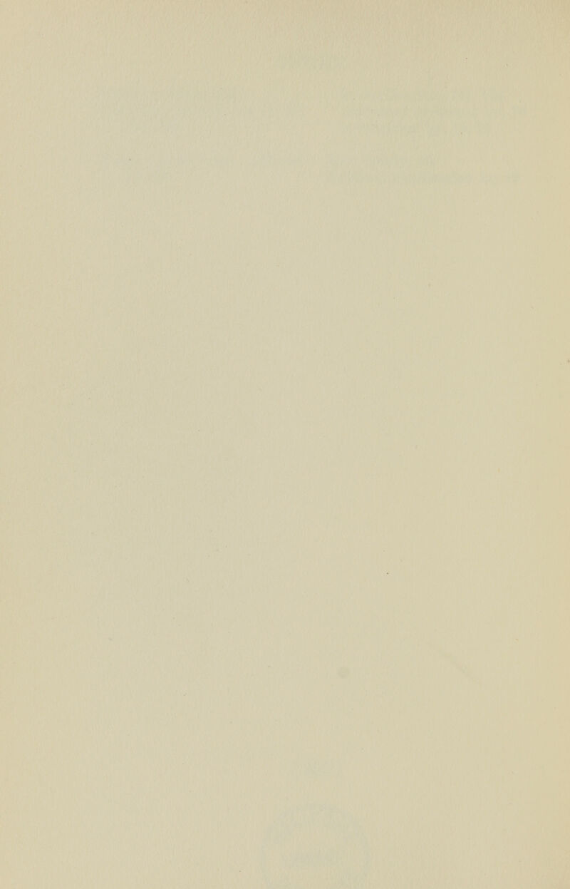 í^A-^4.1í^' 44Ч|¥Ж^^ Ш^Ш'-i: я ^-j-^ ^ «^r -il'^ ''**Jv' *Jie%' \vv iiT^-Tvr'VrÄ';^ ..:/>r ''. • ' 'sfi'' '• -'Л îk*  '. f y ■* .f j>*~ , ' -^v' ¿'V. ' • '' 'f,' »j - • '- '■• ,i Í ; ,  ^ i- * ^ ^ •• к .• •■'.:■?. r ' Í ÍI < * -fé. ' ,' , VI ' ^ Í Pi4' '4 <ííí^n s л »i шйг>^чки^-ш' у Ä?Ä&'' ••■.  ' '^ ■■ 'ÂÉ&iiÂsâïàiiÂ ' ' к /! I f il, ^