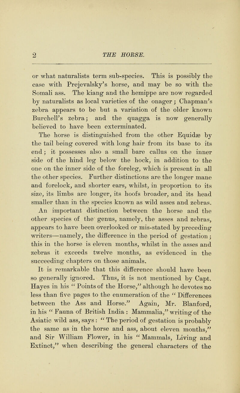 2 ШЕ HOBSE. or what naturalists term sub-species. This is possibly the case with Prejevalsky's horse, and may be so with the Somali ass. The kiang and the hemippe are now regarded by naturalists as local varieties of the onager ; Chapman^s zebra appears to be but a variation of the older known Burchell's zebra; and the quagga is now generally believed to have been exterminated. The horse is distinguished from the other Equidee by the tail being covered with long hair from its base to its end ; it possesses also a small bare callus on the inner side of the hind leg below the hock, in addition to the one on the inner side of the foreleg, which is present in all the other species. Further distinctions are the longer mane and forelock, and shorter ears, whilst, in proportion to its size, its limbs are longer, its hoofs broader, and its head smaller than in the species known as wild asses and zebras. An important distinction between the horse and the other species of the genus, namely, the asses and zebras, appears to have been overlooked or mis-stated by preceding writers—namely, the difference in the period of gestation ; this in the horse is eleven months, whilst in the asses and zebras it exceeds twelve months, as evidenced in the succeeding chapters on those animals. It is remarkable that this difference should have been so generally ignored. Thus, it is not mentioned by Capt. Hayes in his  Points of the Horse,although he devotes no less than five pages to the enumeration of the  Differences between the Ass and Horse.^^ Again, Mr. Blanford, in his  Fauna of British India : Mammalia,^^ writing of the Asiatic wild ass, says :  The period of gestation is probably the same as in the horse and ass, about eleven months,'^ and Sir William Flower, in his '^Mammals, Living and Extinct,^' when describing the general characters of the