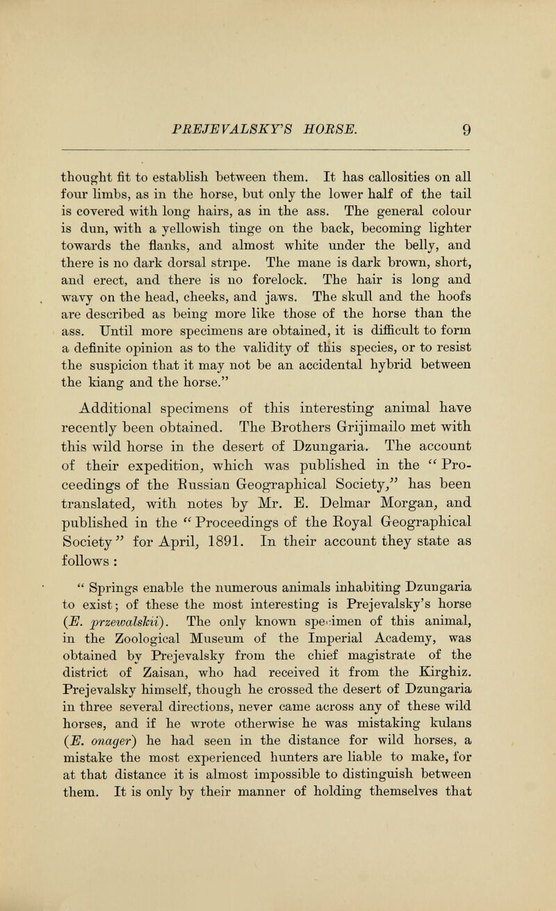 PBEJEVALSKY'S H0B8E. 9 thought fit to establish between them. It has callosities on all four limbs, as in the horse, but only the lower half of the tail is covered with long hairs, as in the ass. The general colour is dun, with a yellowish tinge on the back, becoming lighter towards the flanks, and almost white under the belly, and there is no dark dorsal stripe. The mane is dark brown, short, and erect, and there is no forelock. The hair is long and wavy on the head, cheeks, and jaws. The skull and the hoofs are described as being more like those of the horse than the ass. Until more specimens are obtained, it is difficult to form a definite opinion as to the validity of this species, or to resist the suspicion that it may not be an accidental hybrid between the kiang and the horse. Additional specimens of this interesting animal have recently been obtained. The Brothers Grijimailo met with this wild horse in the desert of Dzungaria. The account of their expedition, which was published in the  Pro¬ ceedings of the Eussian Geographical Societyhas been translated, with notes by Mr, E. Delmar Morgan, and published in the  Proceedings of the Royal Geographical Society^' for April, 1891. In their account they state as follows :  Springs enable the numerous animals inhabiting Dzungaria to exist; of these the most interesting is Prejevalsky's horse (E. przewalshii). The only known spe^-imen of this animal, in the Zoological Museum of the Imperial Academy, was obtained by Prejevalsky from the chief magistrate of the district of Zaisan, who had received it from the Kirghiz. Prejevalsky himself, though he crossed the desert of Dzungaria in three several directions, never came across any of these wild horses, and if he wrote otherwise he was mistaking kulans (E. onager) he had seen in the distance for wild horses, a mistake the most experienced hunters are liable to make, for at that distance it is almost impossible to distinguish between them. It is only by their manner of holding themselves that