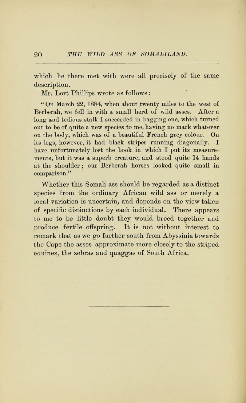 20 THE WILD A88 OF 80MALILAND. whicb. lie there met with were all precisely of the same description. Mr. Lort Phillips wrote as follows :  On March 22, 1884, when about twenty miles to the west of Berberah, we fell in with a small herd of wild asses. After a long and tedious stalk I succeeded in bagging one, which turned out to be of quite a new species to me, having no mark whatever on the body, which was of a beautiful French grey colour. On its legs, however, it had black stripes running diagonally. I have unfortunately lost the book in which I put its measure¬ ments, but it was a superb creature, and stood quite 14 hands at the shoulder ; our Berberah horses looked quite small in comparison. Whether this Somali ass should be regarded as a distinct species from the ordinary African wild ass or merely a local variation is uncertain, and depends on the view taken of specific distinctions by each individual. There appears to me to be little doubt they would breed together and produce fertile offspring. It is not without interest to remark that as we go further south from Abyssinia towards the Cape the asses approximate more closely to the striped equines, the zebras and quaggas of South Africa.
