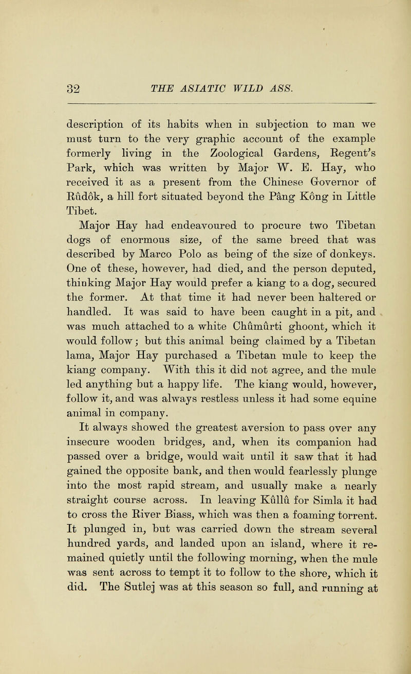 32 THE ASIATIC WILD AS8. description of its habits when in subjection to man we must turn to the very graphic account of the example formerly living in the Zoological Gardens^ Regentas Park, which was written by Major W. E. Hay, who received it as a present from the Chinese Governor of Rûdôk, a hill fort situated beyond the Pang Kong in Little Tibet. Major Hay had endeavoured to procure two Tibetan dogs of enormous size, of the same breed that was described by Marco Polo as being of the size of donkeys. One of these, however, had died, and the person deputed, thinking Major Hay would prefer a kiang to a dog, secured the former. At that time it had never been haltered or handled. It was said to have been caught in a pit, and was much attached to a white Ohûmûrti ghoont, which it would follow ; but this animal being claimed by a Tibetan lama. Major Hay purchased a Tibetan mule to keep the kiang company. With this it did not agree, and the mule led anything but a happy life. The kiang would, however, follow it, and was always restless unless it had some equine animal in company. It always showed the greatest aversion to pass over any insecure wooden bridges, and, when its companion had passed over a bridge, would wait until it saw that it had gained the opposite bank, and then would fearlessly plunge into the most rapid stream, and usually make a nearly straight course across. In leaving Kûllû for Simla it had to cross the River Biass, which was then a foaming torrent. It plunged in, but was carried down the stream several hundred yards, and landed upon an island, where it re¬ mained quietly until the following morning, when the mule was sent across to tempt it to follow to the shore, which it did. The Sutlej was at this season so full, and running at