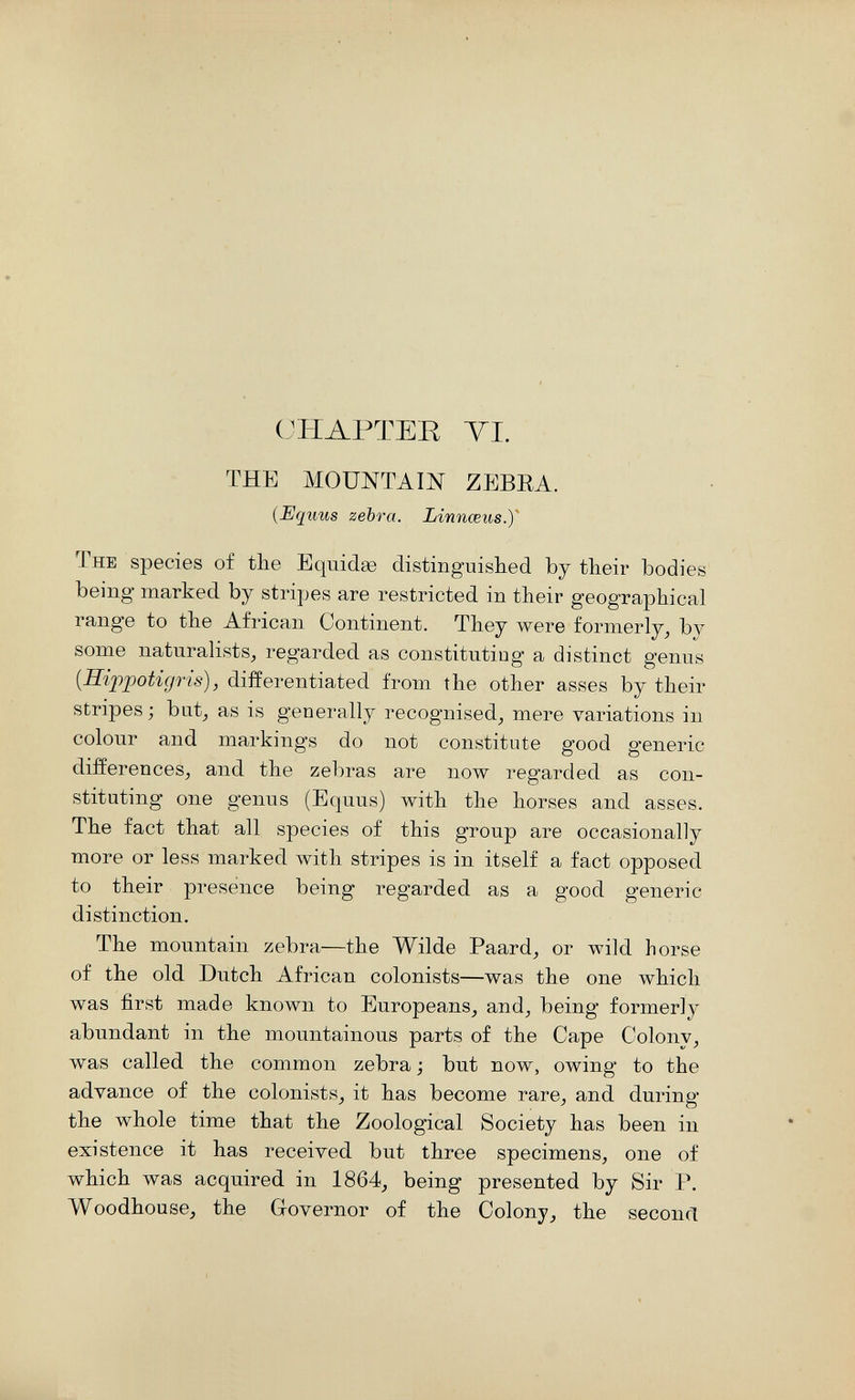 CHAPTER YI. THE MOUNTAIN ZEBEA. [Eqims zebra. Linnœus.y The species of the Eqiiidae distinguished by their bodies being- marked by stripes are restricted in their geographical range to the African Continent. They were formerly, by some naturalists, regarded as constituting a distinct genus {Hippotiyris), differentiated from the other asses by their stripes; bat, as is generally recognised, mere variations in colour and markings do not constitute good generic differences, and the zel)ras are now regarded as con¬ stituting one genus (Equus) with the horses and asses. The fact that all species of this group are occasionally more or less marked with stripes is in itself a fact opposed to their presence being regarded as a good generic distinction. The mountain zebra—the Wilde Paard, or wild horse of the old Dutch African colonists—was the one which was first made known to Europeans, and, being formerly abundant in the mountainous parts of the Cape Colony, was called the common zebra ; but now, owing to the advance of the colonists, it has become rare, and during the whole time that the Zoological Society has been in existence it has received but three specimens, one of which was acquired in 1864, being presented by Sir P. Woodhouse, the Governor of the Colony, the second