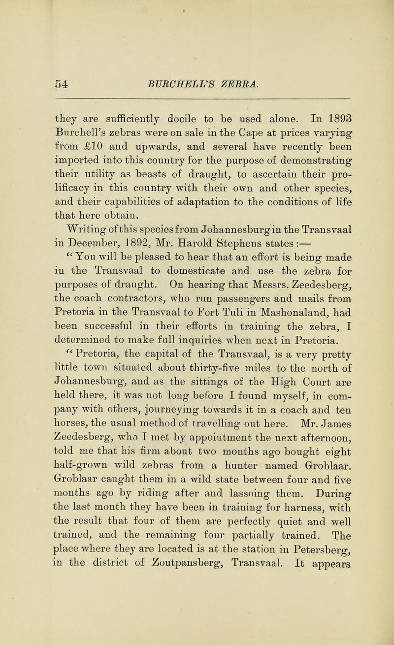 54 BURCHELL'S ZEBRA. they are sufficiently docile to be used alone. In 1893 Burcliell's zebras were on sale intlie Cape at prices varying from £10 and upwards^ and several have recently been imported into this country for the purpose of demonstrating their utility as beasts of draught, to ascertain their pro¬ lificacy in this country with their own and other species, and their capabilities of adaptation to the conditions of life that here obtain. Writing of this species from Johannesburg in the Transvaal in December, 1892, Mr. Harold Stephens states:— You will be pleased to hear that an effort is being made in the Transvaal to domesticate and use the zebra for purposes of draught. On hearing that Messrs. Zeedesberg, the coach contractors, who run passengers and mails from Pretoria in the Transvaal to Fort Tuli in Mashonaland, had been successful in their efforts in training the zebra, I determined to make full inquiries when next in Pretoria.  Pretoria, the capital of the Transvaal, is a very pretty little town situated about thirty-five miles to the north of Johannesburg, and as the sittings of the High Court are held there, it was not long before I found myself, in com¬ pany with others, journeying towards it in a coach and ten horses, the usual method of travelling out here. Mr. James Zeedesberg, who I met by appointment the next aiternoon, told me that his firm about two months ago bought eight half-grown wild zebras from a hunter named Groblaar. Groblaar caught them in a wild state between four and five months ago by riding after and lassoing them. During the last month they have been in training for harness, with the result that four of them are perfectly quiet and well trained, and the remaining four partially trained. The place where they are located is at the station in Petersberg, in the district of Zoutpansberg, Transvaal. It appears