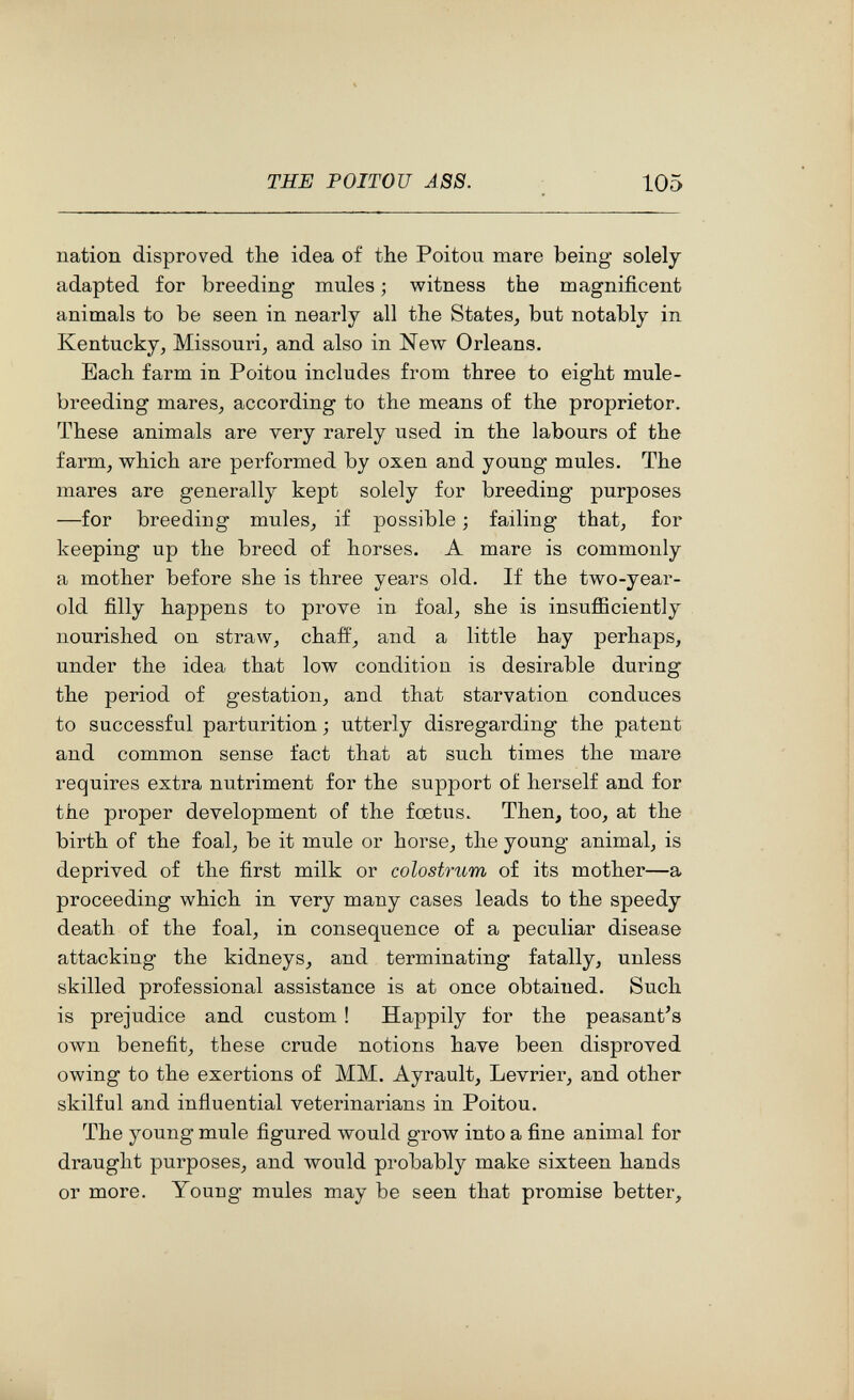 THE POITOU ASS. 105 nation disproved the idea of the Poitou mare being solely adapted for breeding mules ; witness the magnificent animals to be seen in nearly all the States, but notably in Kentucky, Missouri, and also in New Orleans. Each farm in Poitou includes from three to eight mule- breeding mares, according to the means of the proprietor. These animals are very rarely used in the labours of the farm, which are performed by oxen and young mules. The mares are generally kept solely for breeding purposes —for breeding mules, if possible ; failing that, for keeping up the breed of horses. A mare is commonly a mother before she is three years old. If the two-year- old filly happens to prove in foal, she is insufficiently nourished on straw, chaff, and a little hay perhaps, under the idea that low condition is desirable during the period of gestation, and that starvation conduces to successful parturition ; utterly disregarding the patent and common sense fact that at such times the mare requires extra nutriment for the support of herself and for the proper development of the foetus. Then, too, at the birth of the foal, be it mule or horse, the young animal, is deprived of the first milk or colostrum of its mother—a proceeding which in very many cases leads to the speedy death of the foal, in consequence of a peculiar disease attacking the kidneys, and terminating fatally, unless skilled professional assistance is at once obtained. Such is prejudice and custom ! Happily for the peasant's own benefit, these crude notions have been disproved owing to the exertions of MM. Ayrault, Levrier, and other skilful and influential veterinarians in Poitou. The young mule figured would grow into a fine animal for draught purposes, and would probably make sixteen hands or more. Young mules may be seen that promise better.