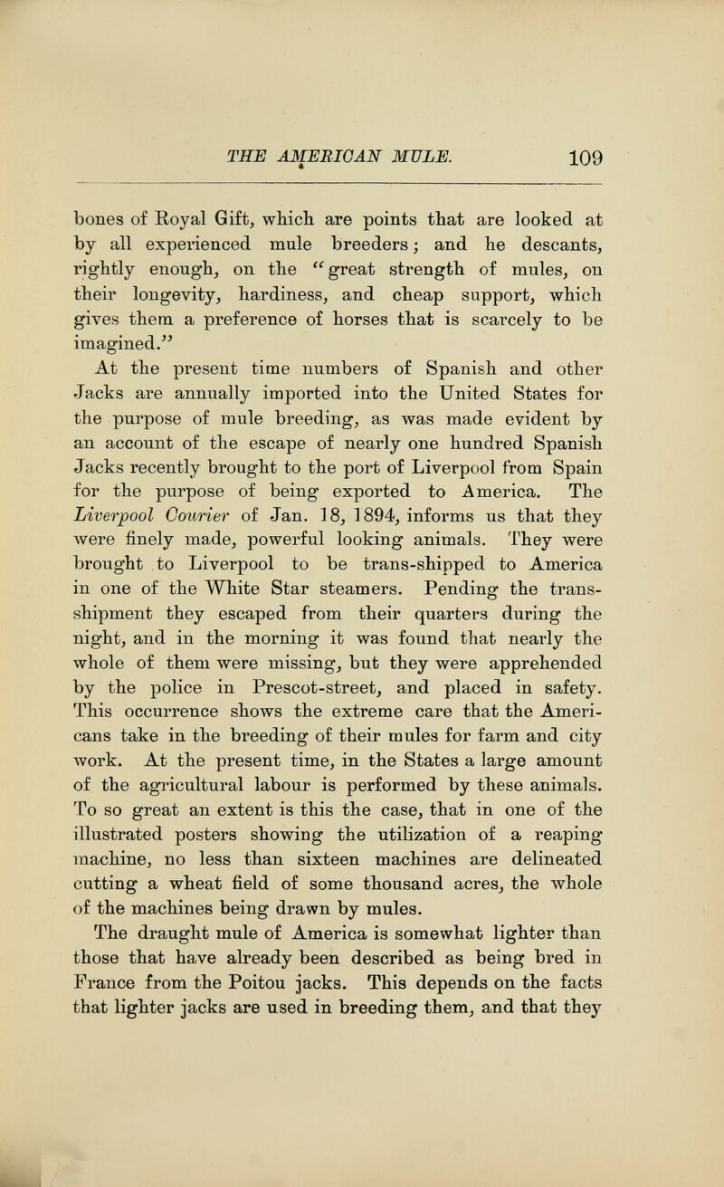 THE AMERICAN MULE. 109 bones of Royal Gift, which are points that are looked at by all experienced mule breeders ; and he descants, rightly enough, on the great strength of mules, on their longevity, hardiness, and cheap support, which gives them a preference of horses that is scarcely to be imagined. At the present time numbers of Spanish and other Jacks are annually imported into the United States for the purpose of mule breeding, as was made evident by an account of the escape of nearly one hundred Spanish Jacks recently brought to the port of Liverpool from Spain for the purpose of being exported to America. The Liverpool Courier of Jan. 18, 1894, informs us that they were finely made, powerful looking animals. They were brought to Liverpool to be trans-shipped to America in one of the White Star steamers. Pending the trans¬ shipment they escaped from their quarters during the night, and in the morning it was found that nearly the whole of them were missing, but they were apprehended by the police in Prescot-street, and placed in safety. This occurrence shows the extreme care that the Ameri¬ cans take in the breeding of their mules for farm and city work. At the present time, in the States a large amount of the agricultural labour is performed by these animals. To so great an extent is this the case, that in one of the illustrated posters showing the utilization of a reaping machine, no less than sixteen machines are delineated cutting a wheat field of some thousand acres, the whole of the machines being drawn by mules. The draught mule of America is somewhat lighter than those that have already been described as being bred in France from the Poitou jacks. This depends on the facts that lighter jacks are used in breeding them, and that they