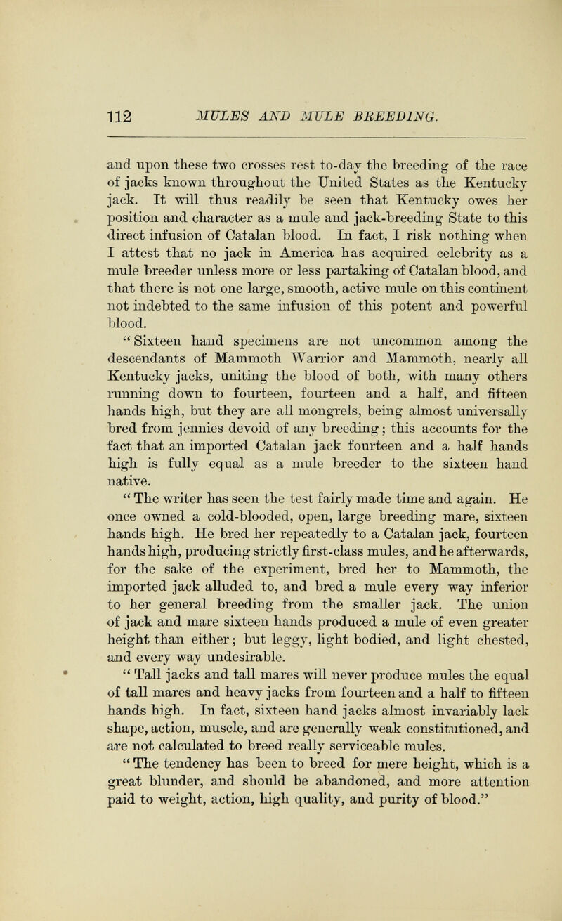 112 MULES AND MULE BREEDING. and upon these two crosses rest to-day the breeding of the race of jacks known throughout the United States as the Kentucky- jack. It will thus readily be seen that Kentucky owes her position and character as a mule and jack-breeding State to this direct infusion of Catalan blood. In fact, I risk nothing when I attest that no jack in America has acquired celebrity as a mule breeder unless more or less partaking of Catalan blood, and that there is not one large, smooth, active mule on this continent not indebted to the same infusion of this potent and powerful blood.  Sixteen hand specimens are not uncommon among the descendants of Mammoth AYarrior and Mammoth, nearly all Kentucky jacks, uniting the blood of both, with many others running down to fourteen, fourteen and a half, and fifteen hands high, but they are all mongrels, being almost universally bred from jennies devoid of any breeding ; this accounts for the fact that an imported Catalan jack fourteen and a half hands high is fully equal as a mule breeder to the sixteen hand native.  The writer has seen the test fairly made time and again. He once owned a cold-blooded, open, large breeding mare, sixteen hands high. He bred her repeatedly to a Catalan jack, fourteen hands high, producing strictly first-class mules, and he afterwards, for the sake of the experiment, bred her to Mammoth, the imported jack alluded to, and bred a mule every way inferior to her general breeding from the smaller jack. The union of jack and mare sixteen hands produced a mule of even greater height than either ; but leggy, light bodied, and light chested, and every way undesirable.  Tall jacks and tall mares will never produce mules the equal of tall mares and heavy jacks from fourteen and a half to fifteen hands high. In fact, sixteen hand jacks almost invariably lack shape, action, muscle, and are generally weak constitutioned, and are not calculated to breed really serviceable mules,  The tendency has been to breed for mere height, which is a great blunder, and should be abandoned, and more attention paid to weight, action, high quality, and purity of blood.