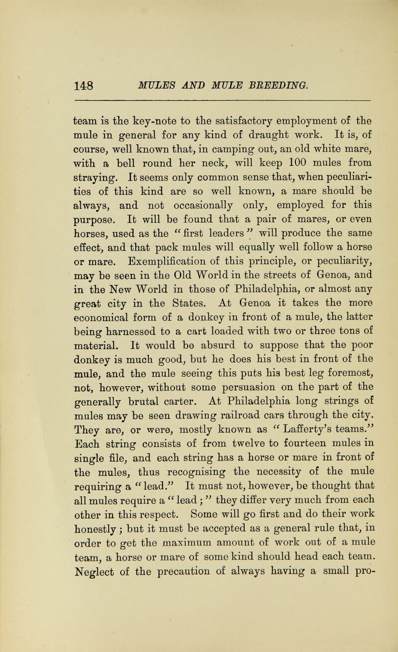 148 MULES AND MULE BREEDING. team is the key-note to the satisfactory employment of the mule in general for any kind of draught work. It isj of course, well known that, in camping out, an old white mare, with a bell round her neck, will keep 100 mules from straying. It seems only common sense that, when peculiari¬ ties of this kind are so well known, a mare should be always, and not occasionally only, employed for this purpose. It will be found that a pair of mares, or even horses, used as the  first leaders  will produce the same effect, and that pack mules will equally well follow a horse or mare. Exemplification of this principle, or peculiarity, may be seen in the Old World in the streets of Genoa, and in the New World in those of Philadelphia, or almost any great city in the States. At Genoa it takes the more economical form of a donkey in front of a mule, the latter being harnessed to a cart loaded with two or three tons of material. It would be absurd to suppose that the poor donkey is much good, but he does his best in front of the mule, and the mule seeing this puts his best leg foremost, not, however, without some persuasion on the part of the generally brutal carter. At Philadelphia long strings of mules may be seen drawing railroad cars through the city. They are, or were, mostly known as  Lafferty's teams. Each string consists of from twelve to fourteen mules in single file, and each string has a horse or mare in front of the mules, thus recognising the necessity of the mule requiring a lead.^^ It must not, however, be thought that all mules require a lead ;  they differ very much from each other in this respect. Some will go first and do their work honestly ; but it must be accepted as a general rule that, in order to get the maximum amount of work out of a mule team, a horse or mare of some kind should head each team. Neglect of the precaution of always having a small pro-