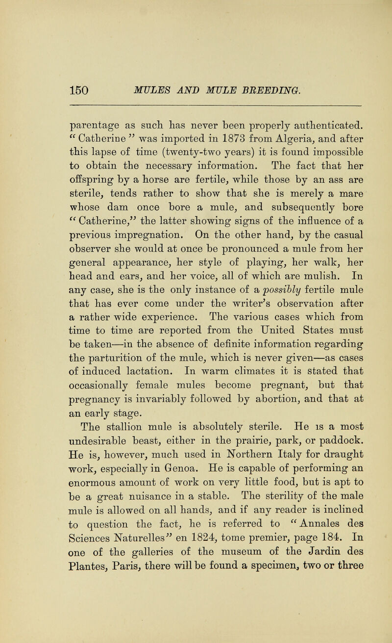 150 MULES AND MULE BREEDING. parentage as such has never been properly authenticated.  Catherine  was imported in 1873 from Algeria,, and after this lapse of time (twenty-two years) it is found impossible to obtain the necessary information. The fact that her offspring by a horse are fertile, while those by an ass are sterile, tends rather to show that she is merely a mare whose dam once bore a mule, and subsequently bore  Catherine, the latter showing signs of the injQuence of a previous impregnation. On the other hand, by the casual observer she would at once be pronounced a mule from her general appearance, her style of playing, her walk, her head and ears, and her voice, all of which are mulish. In any case, she is the only instance of a 'possibly fertile mule that has ever come under the writer's observation after a rather wide experience. The various cases which from time to time are reported from the United States must be taken—in the absence of definite information regarding the parturition of the mule, which is never given—as cases of induced lactation. In warm climates it is stated that occasionally female mules become pregnant, but that pregnancy is invariably followed by abortion, and that at an early stage. The stallion mnle is absolutely sterile. He is a most undesirable beast, either in the prairie, park, or paddock. He is, however, much used in Northern Italy for draught work, especially in Genoa. He is capable of performing an enormous amount of work on very little food, but is apt to be a great nuisance in a stable. The sterility of the male mule is allowed on all hands, and if any reader is inclined to question the fact, he is referred to Annales des Sciences Naturelles en 1824, tome premier, page 184. In one of the galleries of the museum of the Jardin des Plantes, Paris, there will be found a specimen^ two or three