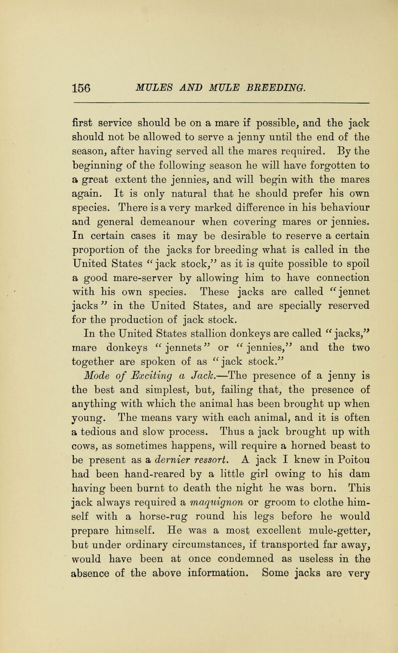 156 MULES AND MULE BREEDING. first service should be on a mare if possible, and the jack should not be allowed to serve a jenny until the end of the season, after having served all the mares required. By the beginning of the following season he will have forgotten to a great extent the jennies, and will begin with the mares again. It is only natural that he should prefer his own species. There is a very marked difference in his behaviour and general demeanour when covering mares or jennies. In certain cases it may be desirable to reserve a certain proportion of the jacks for breeding what is called in the United States jack stock, as it is quite possible to spoil a good mare-server by allowing him to have connection with his own species. These jacks are called jennet jacks  in the United States, and are specially reserved for the production of jack stock. In the United States stallion donkeys are called  jacks, mare donkeys  jennets  or  jennies, and the two together are spoken of as jack stock. Mode of Exciting a Jack.—The presence of a jenny is the best and simplest, but, failing that, the presence of anything with which the animal has been brought up when young. The means vary with each animal, and it is often a tedious and slow process. Thus a jack brought up with cows, as sometimes happens, will require a horned beast to be present as a dernier ressort. A jack I knew in Poitou had been hand-reared by a little girl owing to his dam having been burnt to death the night he was born. This jack always required a maquignon or groom to clothe him¬ self with a horse-rug round his legs before he would prepare himself. He was a most excellent mule-getter, but under ordinary circumstances, if transported far away, would have been at once condemned as useless in the absence of the above information. Some jacks are very