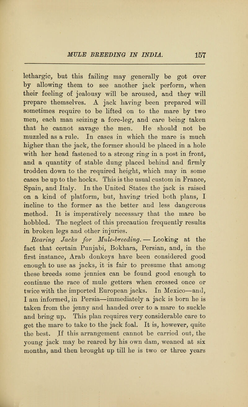 MULE BREEDING IN INDIA. 157 lethargic^ but this failing may generally be got over by allowing them to see another jack perform^ when their feeling of jealousy will be aroused, and they will prepare themselves. A jack having been prepared will sometimes require to be lifted on to the mare by two men, each man seizing a fore-leg, and care being taken that he cannot savage the men. He should not be muzzled as a rule. In cases in which the mare is much higher than the jack, the former should be placed in a hole with her head fastened to a strong ring in a post in front, and a quantity of stable dung placed behind and firmly trodden down to the required height, which may in some cases be up to the hocks. This is the usual custom in France, Spain, and Italy. In the United States the jack is raised on a kind of platform, but, having tried both plans, I incline to the former as the better and less dangerous method. It is imperatively necessary that the mare be hobbled. The neglect of this precaution frequently results in broken legs and other injuries. Rearing Jacks for Mule-breeding. — Looking at the fact that certain Punjabi, Bokhara, Persian, and, in the first instance, Arab donkeys have been considered good enough to use as jacks, it is fair to presume that among these breeds some jennies can be found good enough to continue the race of mule getters when crossed once or twice with the imported European jacks. In Mexico—and, I am informed, in Persia—immediately a jack is born he is taken from the jenny and handed over to a mare to suckle and bring up. This plan requires very considerable care to get the mare to take to the jack foal. It is, however, quite the best. If this arrangement cannot be carried out, the young jack may be reared by his own dam, weaned at six months, and then brought up till he is two or three years