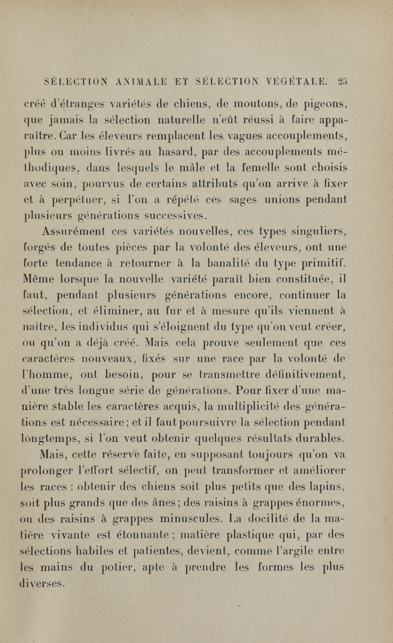 SÉLECTION AMMALE ET SÉLECTION VÉGÉTALE. 2o créé d'étranges variétés de chiens, de moutons, de pigeons, que jamais la sélection naturelle n'eût réussi à fain; appa¬ raître. Car les éleveurs remplacent les vagues accouplements, plus ou moins livrés au hasard, par des accouplements mé¬ thodiques, dans lesquels le male et la femelle sont choisis avec soin, pourvus de certains attributs qu'on arrive à fixer et à perpétuer, si l'on a répété ces sages unions pendant plusieurs générations successives. Assurément ces variétés nouvelles, ces types singuliers, forgés de toutes pièces par la volonté des éleveurs, ont une forte tendance à retourner à la banalité du type primitif. Même lorsque la nouvelle Aariété paraît bien constituée, il faut, pendant plusieurs générations encore, continuer la sélection, et éliminer, au fur et à mesure qu'ils \4ennent à naître, les individus qui s'éloignent du type qu'on veut créer, ou qu'on a déjà créé. Mais cela prouve seulement que ces caractères nouveaux, fixés sur une race par la volonté de riiomme, ont besoin, pour se ti-;insmetlre définitivement, d'une très longue série de générations. Pour fixer d'une ma¬ nière stable les caractères acquis, la multiplicité des généra¬ tions est nécessaire; et il faut poursuivre la sélection pendant longtemps, si l'on veut obtenir quelques résultats durables. Mais, cette réserve faite, en supposant toujours qu'on va prolonger l'elî'ort sélectif, on peut transfoi-mer et améliorer les races : obtenir des chiens soit plus petits que des lapins, soit plus grands que des ânes; des raisins à grappes énormes, ou des raisins à grappes minuscules. La docilité de la ma¬ tière vivante est étonnante; matière plastique qui, par des sélections habiles et patientes, devient, comme l'argile entre les mains du potier, apte à prendre les formes les plus diverses.