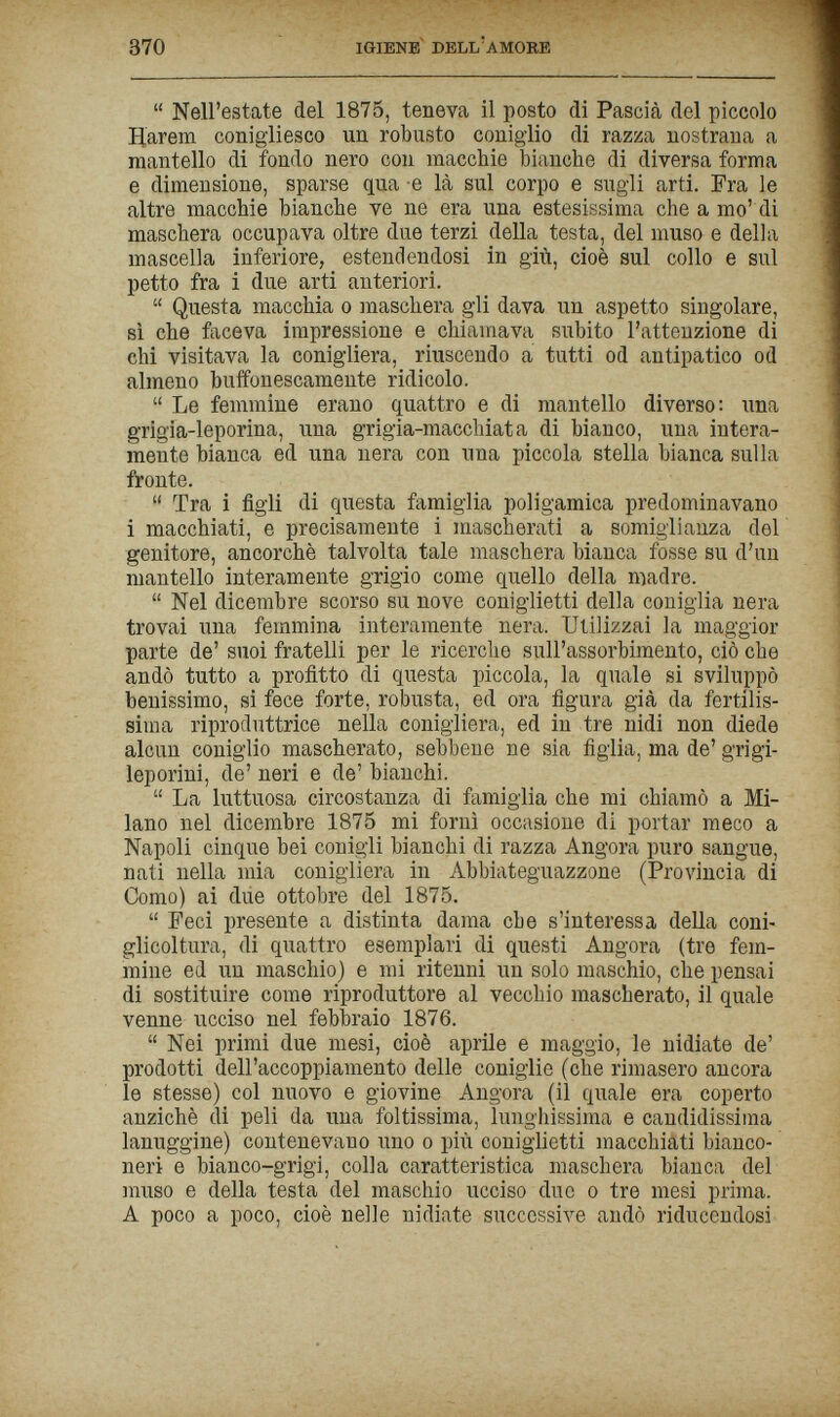 370 igiene' dell'amore  Nell'estate del 1875, teneva il posto di Pascià del piccolo Дагет conigliesco un robusto coniglio di razza nostrana a mantello di fondo nero con macchie bianche di diversa forma e dimensione, sparse qua e là sul corpo e sugli arti. Fra le altre macchie bianche ve ne era una estesissima che a mo' di maschera occupava oltre due terzi della testa, del muso e della mascella inferiore, estendendosi in giù, cioè sul collo e sul petto fra i due arti anteriori.  Questa macchia о maschera gli dava un aspetto singolare, sì che faceva impressione e chiamava subito l'attenzione di chi visitava la conigliera, riuscendo a tutti od antipatico od almeno buffonescamente ridicolo.  Le femmine erano quattro e di mantello diverso; una grigia-leporina, una grigia-macchiata di bianco, una intera¬ mente bianca ed una nera con una piccola stella bianca sulla fronte.  Tra 1 figU di questa famiglia poligamica predominavano i macchiati, e precisamente i mascherati a somiglianza del genitore, ancorché talvolta tale maschera bianca fosse su d'un mantello interamente grigio come quello della madre.  Nel dicembre scorso su nove coniglietti della coniglia nera trovai una femmina interamente nera. Utilizzai la maggior parte de' suoi fratelli per le ricerche sull'assorbimento, ciò che andò tutto a profitto di questa piccola, la quale si sviluppò benissimo, si fece forte, robusta, ed ora figura già da fertilis¬ sima riproduttrice nella conigliera, ed in tre nidi non diede alcun coniglio mascherato, sebbene ne sia figlia, ma de' grigi- leporini, de' neri e de' bianchi.  La luttuosa circostanza di famiglia che mi chiamò a Mi¬ lano nel dicembre 1875 mi fornì occasione di portar meco a Napoli cinque bei conigli bianchi di razza Angora puro sangue, nati nella mia conigliera in Abbiateguazzone (Provincia di Como) ai due ottobre del 1875.  Feci presente a distinta dama che s'interessa della coni¬ glicoltura, di quattro esemplari di questi Angora (tre fem¬ mine ed un maschio) e mi ritenni un solo maschio, che pensai di sostituire come riproduttore al vecchio mascherato, il quale venne ucciso nel febbraio 1876.  Nei primi due mesi, cioè aprile e maggio, le nidiate de' prodotti dell'accoppiamento delle coniglie (che rimasero ancora le stesse) col nuovo e giovine Angora (il quale era coperto anziché di peli da uua foltissima, lunghissima e candidissima lanuggine) contenevano uno о più coniglietti macchiati bianco¬ neri e bianco-grigi, colla caratteristica maschera bianca del muso e della testa del maschio ucciso duo о tre mesi prima. A poco a poco, cioè nelle nidiate successive andò riducendosi