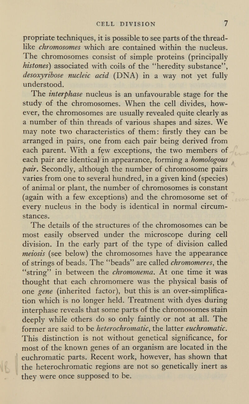 CELL DIVISION 7 propriate techniques, it is possible to see parts of the thread¬ like chromosomes which are contained within the nucleus. The chromosomes consist of simple proteins (principally histones) associated with coils of the heredity substance, desoxyribose nucleic acid (DNA) in a way not yet fully understood. The interphase nucleus is an unfavourable stage for the study of the chromosomes. When the cell divides, how¬ ever, the chromosomes are usually revealed quite clearly as a number of thin threads of various shapes and sizes. We may note two characteristics of them: firstly they can be arranged in pairs, one from each pair being derived from each parent. With a few exceptions, the two members of each pair are identical in appearance, forming a homologous pair. Secondly, although the number of chromosome pairs varies from one to several hundred, in a given kind (species) of animal or plant, the number of chromosomes is constant (again with a few exceptions) and the chromosome set of every nucleus in the body is identical in normal circum¬ stances. The details of the structures of the chromosomes can be most easily observed under the microscope during cell division. In the early part of the type of division called meiosis (see below) the chromosomes have the appearance of strings of beads. The beads are called chromomeres, the string in between the chromonema. At one time it was thought that each chromomere was the physical basis of one gene (inherited factor), but this is an over-simplifica¬ tion which is no longer held. Treatment with dyes during interphase reveals that some parts of the chromosomes stain deeply while others do so only faintly or not at all. The former are said to be heterochromatic, the latter euchrom.atic. This distinction is not without genetical significance, for most of the known genes of an organism are located in the euchromatic parts. Recent work, however, has shown that the heterochromatic regions are not so genetically inert as they were once supposed to be.