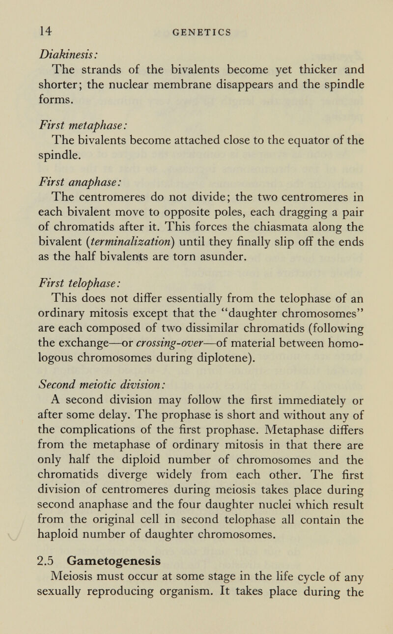 14 GENETICS Diakinesis: The strands of the bivalents become yet thicker and shorter; the nuclear membrane disappears and the spindle forms. First metaphase : The bivalents become attached close to the equator of the spindle. First anaphase: The centromeres do not divide; the two centromeres in each bivalent move to opposite poles, each dragging a pair of chromatids after it. This forces the chiasmata along the bivalent {terminalization) until they finally slip off the ends as the half bivalents are torn asunder. First telophase: This does not differ essentially from the telophase of an ordinary mitosis except that the daughter chromosomes are each composed of two dissimilar chromatids (following the exchange—or crossing-over—of material between homo¬ logous chromosomes during diplotene). Second meiotic division: A second division may follow the first immediately or after some delay. The prophase is short and without any of the complications of the first prophase. Metaphase differs from the metaphase of ordinary mitosis in that there are only half the diploid number of chromosomes and the chromatids diverge widely from each other. The first division of centromeres during meiosis takes place during second anaphase and the four daughter nuclei which result from the original cell in second telophase all contain the haploid number of daughter chromosomes. 2.5 Gametogenesis Meiosis must occur at some stage in the life cycle of any sexually reproducing organism. It takes place during the