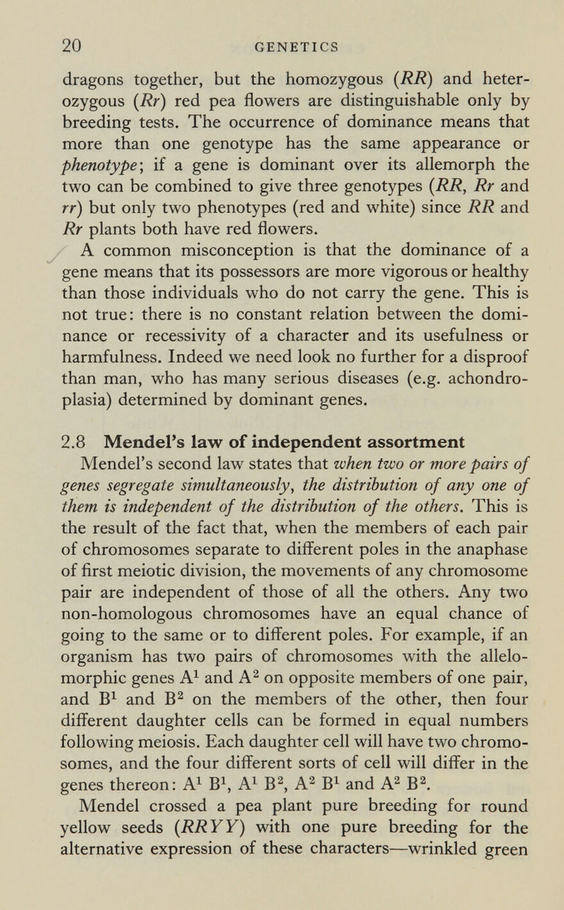 20 GENETICS dragons together, but the homozygous (RR) and heter¬ ozygous (Rr) red pea flowers are distinguishable only by breeding tests. The occurrence of dominance means that more than one genotype has the same appearance or phenotype\ if a gene is dominant over its allemorph the two can be combined to give three genotypes {RR, Rr and rr) but only two phenotypes (red and white) since RR and Rr plants both have red flowers. A common misconception is that the dominance of a gene means that its possessors are more vigorous or healthy than those individuals who do not carry the gene. This is not true: there is no constant relation between the domi¬ nance or recessivity of a character and its usefulness or harmfulness. Indeed we need look no further for a disproof than man, who has many serious diseases (e.g. achondro¬ plasia) determined by dominant genes, 2.8 Mendel's law of independent assortment Mendel's second law states that when two or more pairs of genes segregate simultaneously, the distribution of any one of them is independent of the distribution of the others. This is the result of the fact that, when the members of each pair of chromosomes separate to different poles in the anaphase of first meiotic division, the movements of any chromosome pair are independent of those of all the others. Any two non-homologous chromosomes have an equal chance of going to the same or to different poles. For example, if an organism has two pairs of chromosomes with the allelo- morphic genes A^ and A^ on opposite members of one pair, and and on the members of the other, then four different daughter cells can be formed in equal numbers following meiosis. Each daughter cell will have two chromo¬ somes, and the four different sorts of cell will differ in the genes thereon: A^ B^, A^ B^, A^ B^ and A^ B^. Mendel crossed a pea plant pure breeding for round yellow seeds (RRYY) with one pure breeding for the alternative expression of these characters—wrinkled green