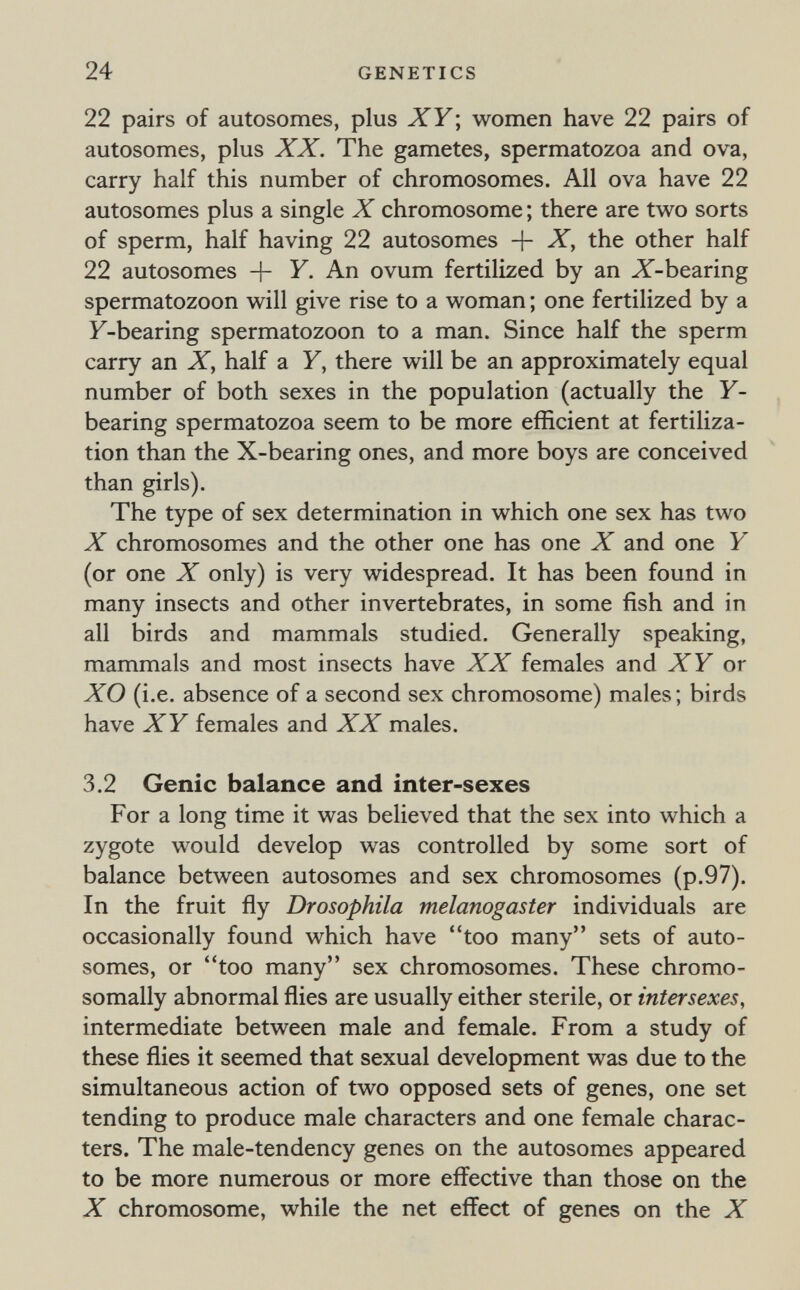 24 GENETICS 22 pairs of autosomes, plus XY; women have 22 pairs of autosomes, plus XX. The gametes, spermatozoa and ova, carry half this number of chromosomes. All ova have 22 autosomes plus a single X chromosome ; there are two sorts of sperm, half having 22 autosomes + X, the other half 22 autosomes + Y. An ovum fertilized by an X-bearing spermatozoon will give rise to a woman ; one fertilized by a F-bearing spermatozoon to a man. Since half the sperm carry an X, half a Y, there will be an approximately equal number of both sexes in the population (actually the Y- bearing spermatozoa seem to be more efficient at fertiliza¬ tion than the X-bearing ones, and more boys are conceived than girls). The type of sex determination in which one sex has two X chromosomes and the other one has one X and one Y (or one X only) is very widespread. It has been found in many insects and other invertebrates, in some fish and in all birds and mammals studied. Generally speaking, mammals and most insects have XX females and XY or XO (i.e. absence of a second sex chromosome) males ; birds have XY females and XX males. 3.2 Genie balance and inter-sexes For a long time it was believed that the sex into which a zygote would develop was controlled by some sort of balance between autosomes and sex chromosomes (p.97). In the fruit fly Drosophila melanogaster individuals are occasionally found which have too many sets of auto¬ somes, or too many sex chromosomes. These chromo- somally abnormal flies are usually either sterile, or intersexes, intermediate between male and female. From a study of these flies it seemed that sexual development was due to the simultaneous action of two opposed sets of genes, one set tending to produce male characters and one female charac¬ ters. The male-tendency genes on the autosomes appeared to be more numerous or more effective than those on the X chromosome, while the net effect of genes on the X