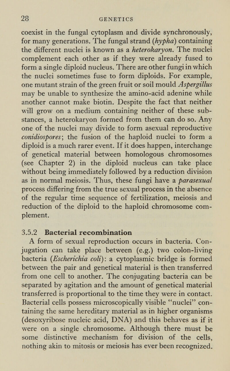 28 GENETICS coexist in the fungal cytoplasm and divide synchronously, for many generations. The fungal strand {hypha) containing the different nuclei is known as a heterokaryon. The nuclei complement each other as if they were already fused to form a single diploid nucleus. There are other fungi in which the nuclei sometimes fuse to form diploids. For example, one mutant strain of the green fruit or soil mould Aspergillus may be unable to synthesize the amino-acid adenine while another cannot make biotin. Despite the fact that neither will grow on a medium containing neither of these sub¬ stances, a heterokaryon formed from them can do so. Any one of the nuclei may divide to form asexual reproductive conidiospores\ the fusion of the haploid nuclei to form a diploid is a much rarer event. If it does happen, interchange of genetical material between homologous chromosomes (see Chapter 2) in the diploid nucleus can take place without being immediately followed by a reduction division as in normal meiosis. Thus, these fungi have a parasexual process differing from the true sexual process in the absence of the regular time sequence of fertilization, meiosis and reduction of the diploid to the haploid chromosome com¬ plement. 3.5.2 Bacterial recombination A form of sexual reproduction occurs in bacteria. Con¬ jugation can take place between (e.g.) two colon-living bacteria {Escherichia coli): a cytoplasmic bridge is formed between the pair and genetical material is then transferred from one cell to another. The conjugating bacteria can be separated by agitation and the amount of genetical material transferred is proportional to the time they were in contact. Bacterial cells possess microscopically visible nuclei con¬ taining the same hereditary material as in higher organisms (desoxyribose nucleic acid, DNA) and this behaves as if it were on a single chromosome. Although there must be some distinctive mechanism for division of the cells, nothing akin to mitosis or meiosis has ever been recognized.