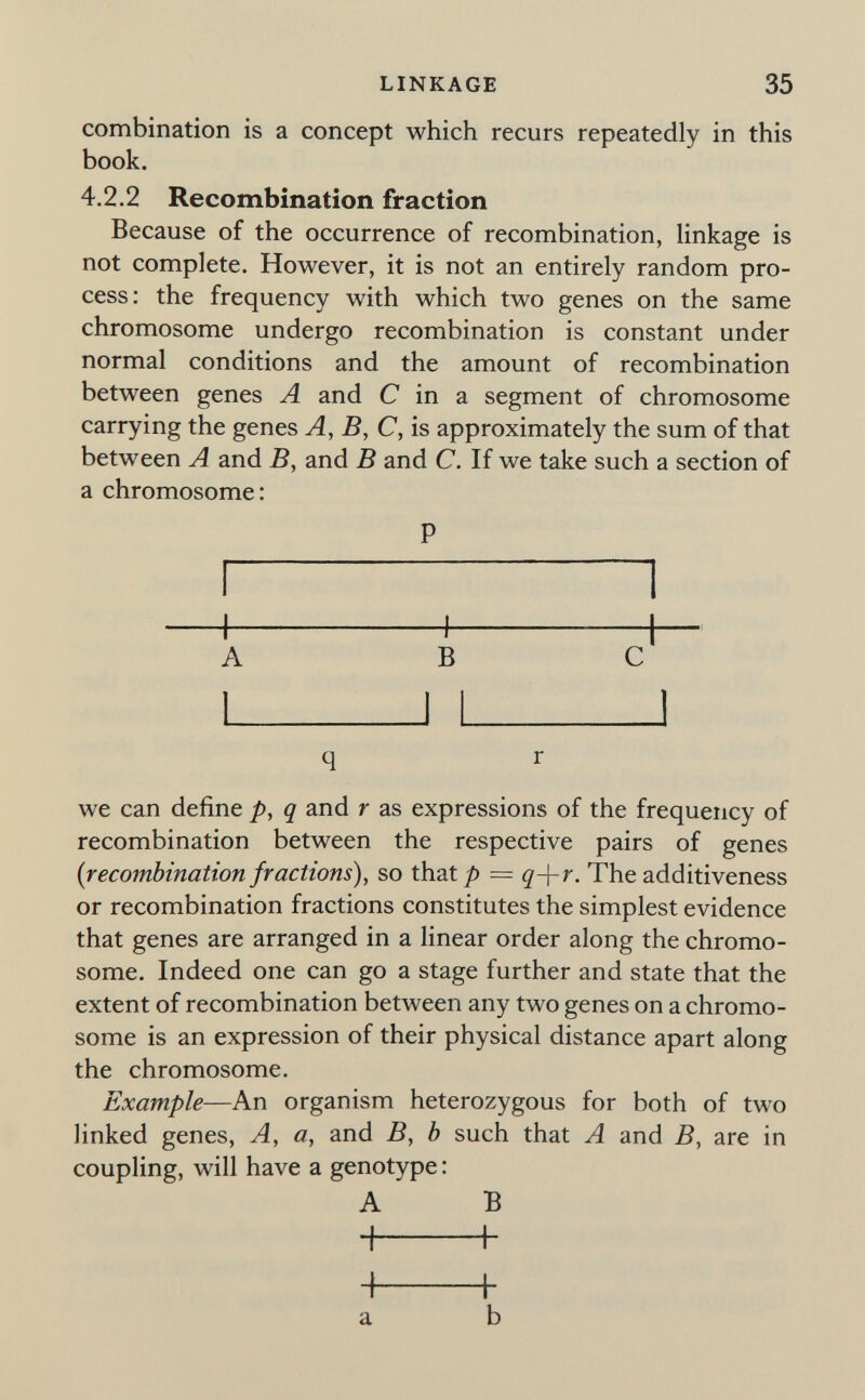 LINKAGE 35 combination is a concept which recurs repeatedly in this book. 4.2.2 Recombination fraction Because of the occurrence of recombination, linkage is not complete. However, it is not an entirely random pro¬ cess: the frequency with which two genes on the same chromosome undergo recombination is constant under normal conditions and the amount of recombination between genes A and С in a segment of chromosome carrying the genes A, В, С, is approximately the sum of that between A and B, and В and C. If we take such a section of a chromosome: P A ВС q r we can define p, q and r as expressions of the frequency of recombination between the respective pairs of genes {recombination fractions), so that/) = q-\-r. Theadditiveness or recombination fractions constitutes the simplest evidence that genes are arranged in a linear order along the chromo¬ some. Indeed one can go a stage further and state that the extent of recombination between any two genes on a chromo¬ some is an expression of their physical distance apart along the chromosome. Example—An organism heterozygous for both of two linked genes, A, a, and B, b such that A and B, are in coupling, will have a genotype : A В -i h H b a b