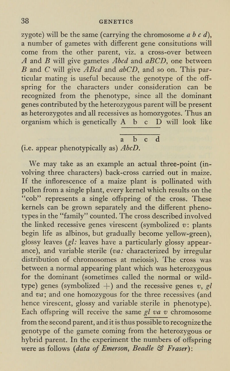 38 GENETICS zygote) will be the same (carrying the chromosome ah с d), a number of gametes with different gene consitutions will come from the other parent, viz. a cross-over between A and В will give gametes Abed and aBCD, one between В and С will give ABcd and abCD, and so on. This par¬ ticular mating is useful because the genotype of the off¬ spring for the characters under consideration can be recognized from the phenotype, since all the dominant genes contributed by the heterozygous parent will be present as heterozygotes and all récessives as homozygotes. Thus an organism which is genetically A b с D will look like abed (i.e. appear phenotypically as) AbcD. We may take as an example an actual three-point (in¬ volving three characters) back-cross carried out in maize. If the inflorescence of a maize plant is pollinated with pollen from a single plant, every kernel which results on the cob represents a single offspring of the cross. These kernels can be grown separately and the different pheno- types in the family counted. The cross described involved the linked recessive genes virescent (symbolized v: plants begin life as albinos, but gradually become yellow-green), glossy leaves {gl: leaves have a particularly glossy appear¬ ance), and variable sterile {va: characterized by irregular distribution of chromosomes at meiosis). The cross was between a normal appearing plant which was heterozygous for the dominant (sometimes called the normal or wild- type) genes (symbolized +) and the recessive genes v, gl and ш; and one homozygous for the three récessives (and hence virescent, glossy and variable sterile in phenotype). Each offspring will receive the same gl va v chromosome from the second parent, and it is thus possible to recognize the genotype of the gamete coming from the heterozygous or hybrid parent. In the experiment the numbers of offspring were as follows {data of Emerson, Beadle & Fraser) :