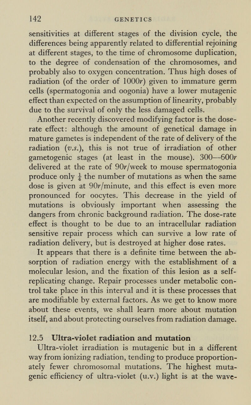 142 GENETICS sensitivities at different stages of the division cycle, the differences being apparently related to differential rejoining at different stages, to the time of chromosome duplication, to the degree of condensation of the chromosomes, and probably also to oxygen concentration. Thus high doses of radiation (of the order of lOOOr) given to immature germ cells (spermatogonia and oogonia) have a lower mutagenic effect than expected on the assumption of linearity, probably due to the survival of only the less damaged cells. Another recently discovered modifying factor is the dose- rate effect: although the amount of genetical damage in mature gametes is independent of the rate of delivery of the radiation (í^.í.), this is not true of irradiation of other gametogenic stages (at least in the mouse). 300—бООг delivered at the rate of 90r/week to mouse spermatogonia produce only | the number of mutations as when the same dose is given at 90r/minute, and this effect is even more pronounced for oocytes. This decrease in the yield of mutations is obviously important when assessing the dangers from chronic background radiation. The dose-rate effect is thought to be due to an intracellular radiation sensitive repair process which can survive a low rate of radiation delivery, but is destroyed at higher dose rates. It appears that there is a definite time between the ab¬ sorption of radiation energy with the establishment of a molecular lesion, and the fixation of this lesion as a self- replicating change. Repair processes under metabolic con¬ trol take place in this interval and it is these processes that are modifiable by external factors. As we get to know more about these events, we shall learn more about mutation itself, and about protecting ourselves from radiation damage. 12.5 Ultra-violet radiation and mutation Ultra-violet irradiation is mutagenic but in a different way from ionizing radiation, tending to produce proportion¬ ately fewer chromosomal mutations. The highest muta¬ genic efficiency of ultra-violet (u.v.) light is at the wave-