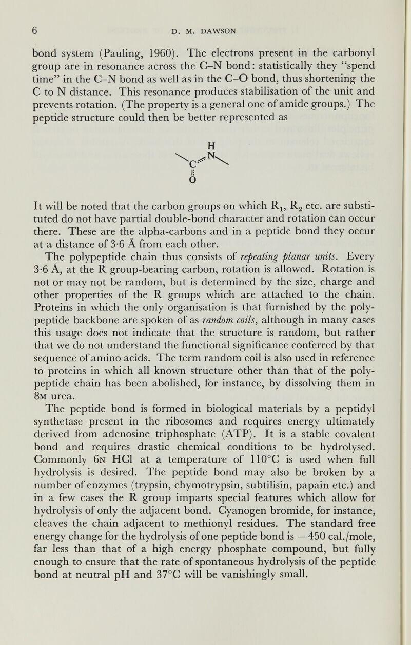 6 d. m. dawson bond system (Pauling, 1960). The electrons present in the carbonyl group are in resonance across the C-N bond: statistically they spend time in the C-N bond as well as in the C-O bond, thus shortening the С to N distance. This resonance produces stabilisation of the unit and prevents rotation. (The property is a general one of amide groups.) The peptide structure could then be better represented as H li о It will be noted that the carbon groups on which Rj, Ra etc. are substi¬ tuted do not have partial double-bond character and rotation can occur there. These are the alpha-carbons and in a peptide bond they occur at a distance of 3-6 Â from each other. The polypeptide chain thus consists of repeating planar units. Every 3-6 A, at the R group-bearing carbon, rotation is allowed. Rotation is not or may not be random, but is determined by the size, charge and other properties of the R groups which are attached to the chain. Proteins in which the only organisation is that furnished by the poly¬ peptide backbone are spoken of as random coils, although in many cases this usage does not indicate that the structure is random, but rather that we do not understand the functional significance conferred by that sequence of amino acids. The term random coil is also used in reference to proteins in which all known structure other than that of the poly¬ peptide chain has been abolished, for instance, by dissolving them in 8m urea. The peptide bond is formed in biological materials by a peptidyl synthetase present in the ribosomes and requires energy ultimately derived from adenosine triphosphate (ATP). It is a stable covalent bond and requires drastic chemical conditions to be hydrolysed. Commonly 6n HCl at a temperature of 110°C is used when full hydrolysis is desired. The peptide bond may also be broken by a number of enzymes (trypsin, chymotrypsin, subtilisin, papain etc.) and in a few cases the R group imparts special features which allow for hydrolysis of only the adjacent bond. Cyanogen bromide, for instance, cleaves the chain adjacent to methionyl residues. The standard free energy change for the hydrolysis of one peptide bond is —450 cal./mole, far less than that of a high energy phosphate compound, but fully enough to ensure that the rate of spontaneous hydrolysis of the peptide bond at neutral pH and 37°C will be vanishingly small.