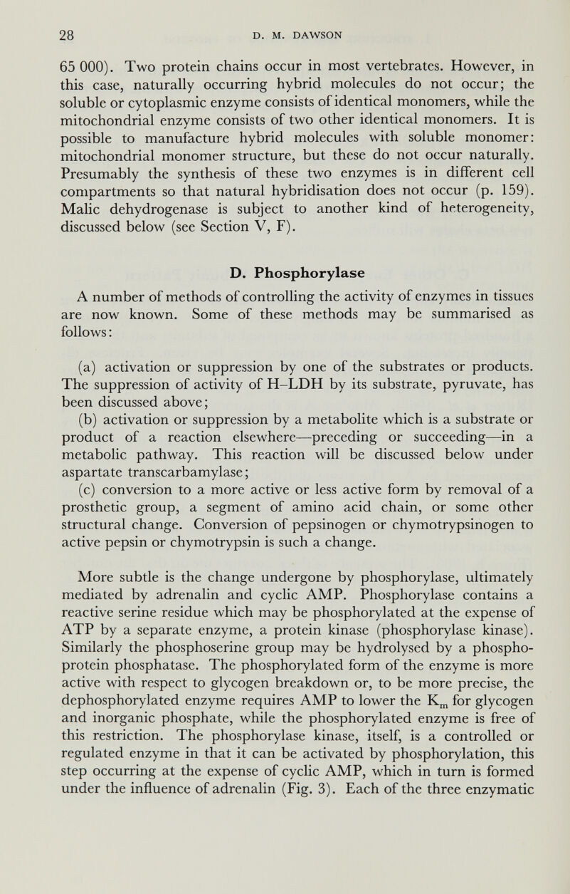 28 D. M. DAWSON 65 ООО). Two protein chains occur in most vertebrates. However, in this case, naturally occurring hybrid molecules do not occur; the soluble or cytoplasmic enzyme consists of identical monomers, while the mitochondrial enzyme consists of two other identical monomers. It is possible to manufacture hybrid molecules with soluble monomer: mitochondrial monomer structure, but these do not occur naturally. Presumably the synthesis of these two enzymes is in different cell compartments so that natural hybridisation does not occur (p. 159). Malic dehydrogenase is subject to another kind of heterogeneity, discussed below (see Section V, F). D. Phosphorylase A number of methods of controlling the activity of enzymes in tissues are now known. Some of these methods may be summarised as follows : (a) activation or suppression by one of the substrates or products. The suppression of activity of H-LDH by its substrate, pyruvate, has been discussed above; (b) activation or suppression by a metabolite which is a substrate or product of a reaction elsewhere—preceding or succeeding—in a metabolic pathway. This reaction will be discussed below under aspartate transcarbamylase ; (c) conversion to a more active or less active form by removal of a prosthetic group, a segment of amino acid chain, or some other structural change. Conversion of pepsinogen or chymotrypsinogen to active pepsin or chymotrypsin is such a change. More subtle is the change undergone by Phosphorylase, ultimately mediated by adrenalin and cyclic AMP. Phosphorylase contains a reactive serine residue which may be phosphorylated at the expense of ATP by a separate enzyme, a protein kinase (phosphorylase kinase). Similarly the phosphoserine group may be hydrolysed by a phospho- protein phosphatase. The phosphorylated form of the enzyme is more active with respect to glycogen breakdown or, to be more precise, the dephosphorylated enzyme requires AMP to lower the for glycogen and inorganic phosphate, while the phosphorylated enzyme is free of this restriction. The phosphorylase kinase, itself, is a controlled or regulated enzyme in that it can be activated by phosphorylation, this step occurring at the expense of cyclic AMP, which in turn is formed under the influence of adrenalin (Fig. 3). Each of the three enzymatic